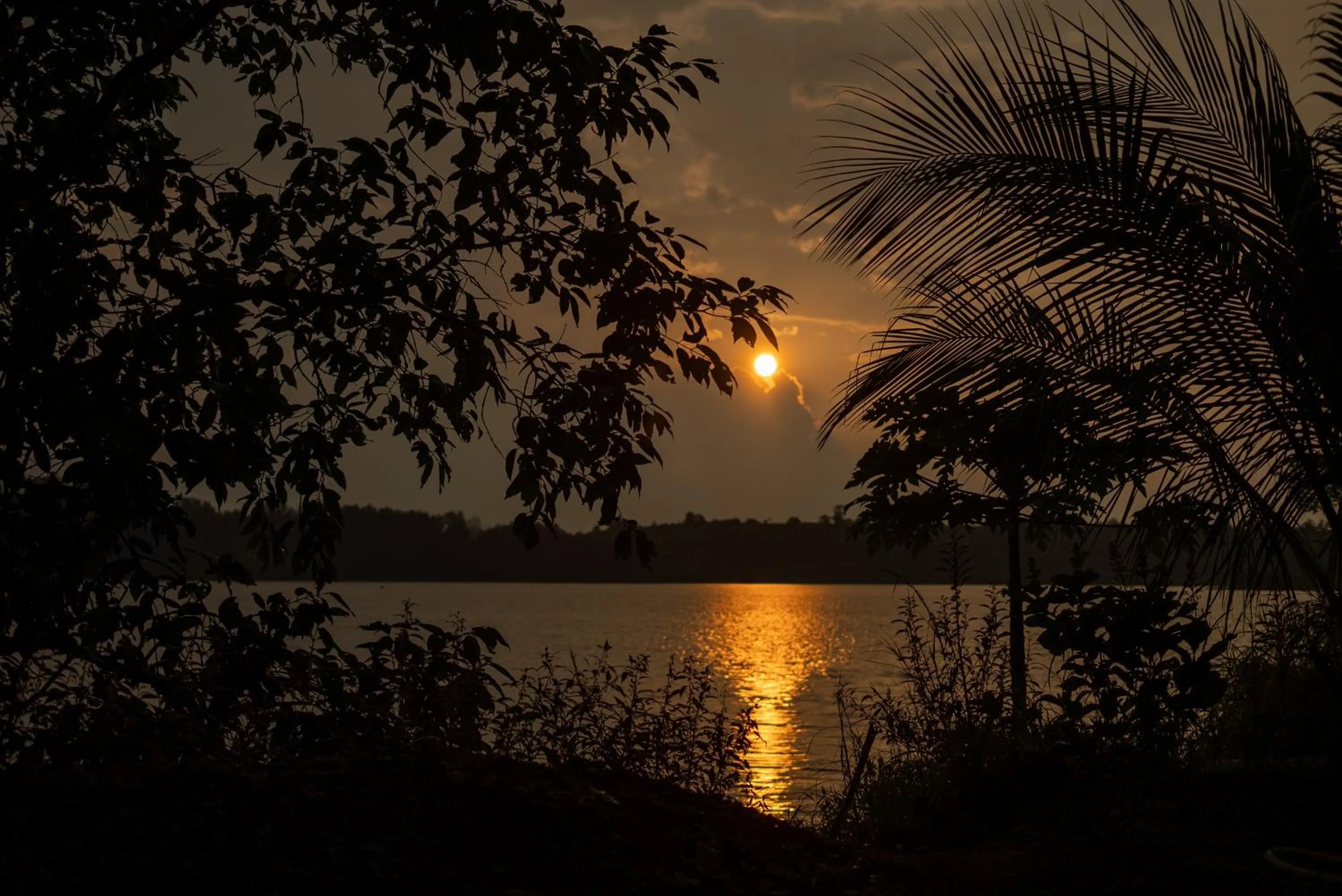 Lake view in Shvas Island Resort