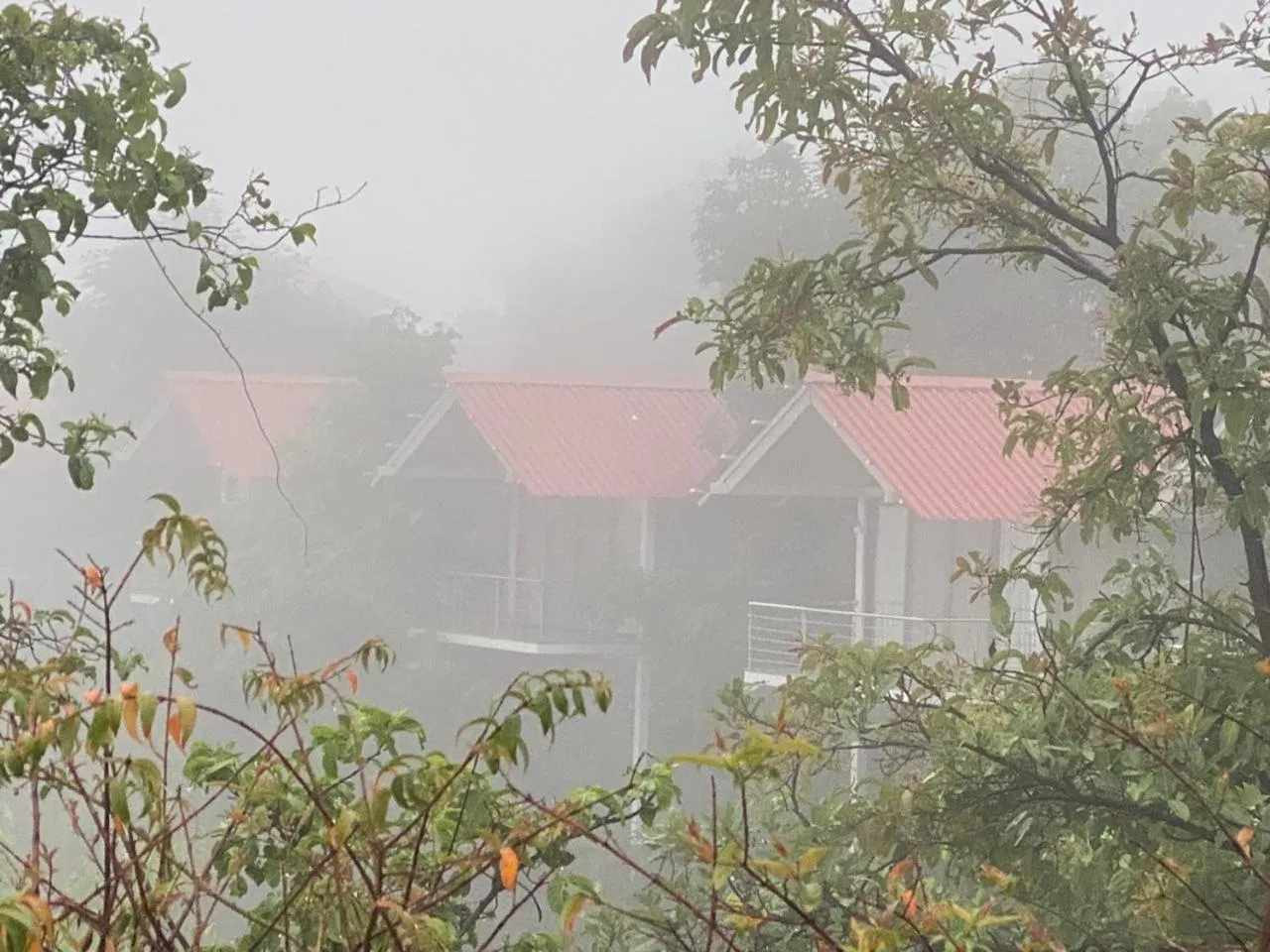 Property building in Shvas Island Resort