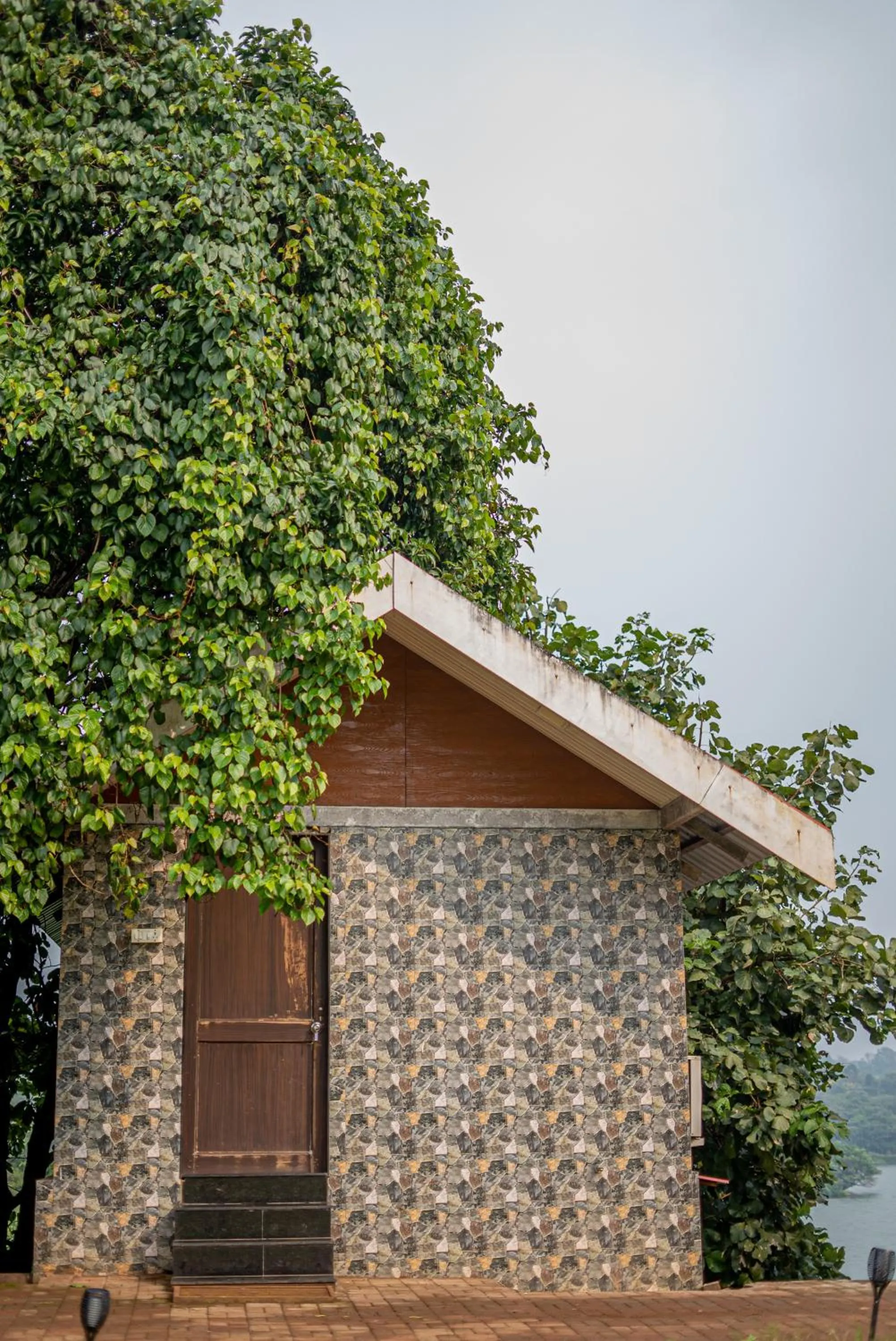 Property building in Shvas Island Resort