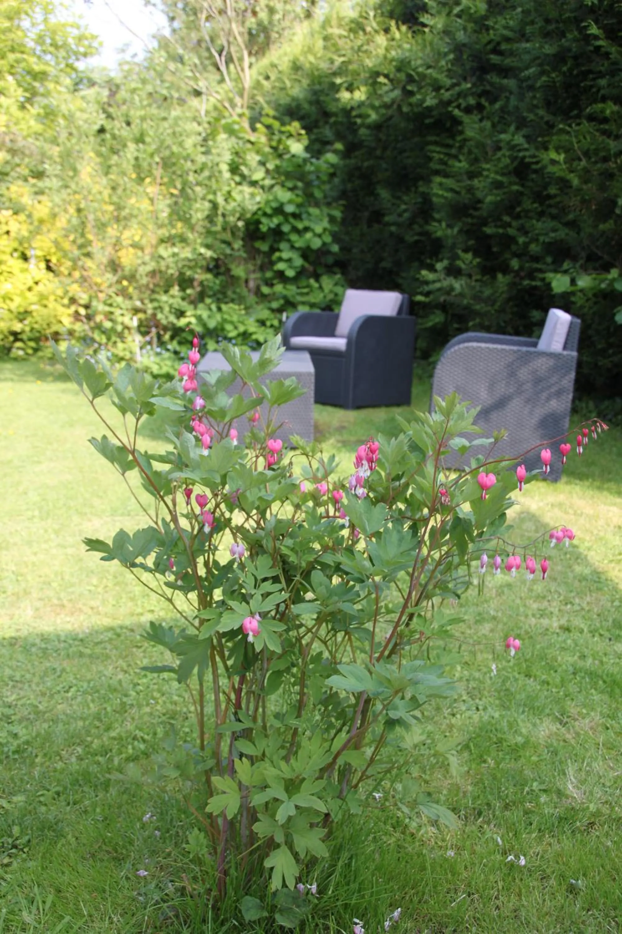 Garden view in Monts et Merveilles