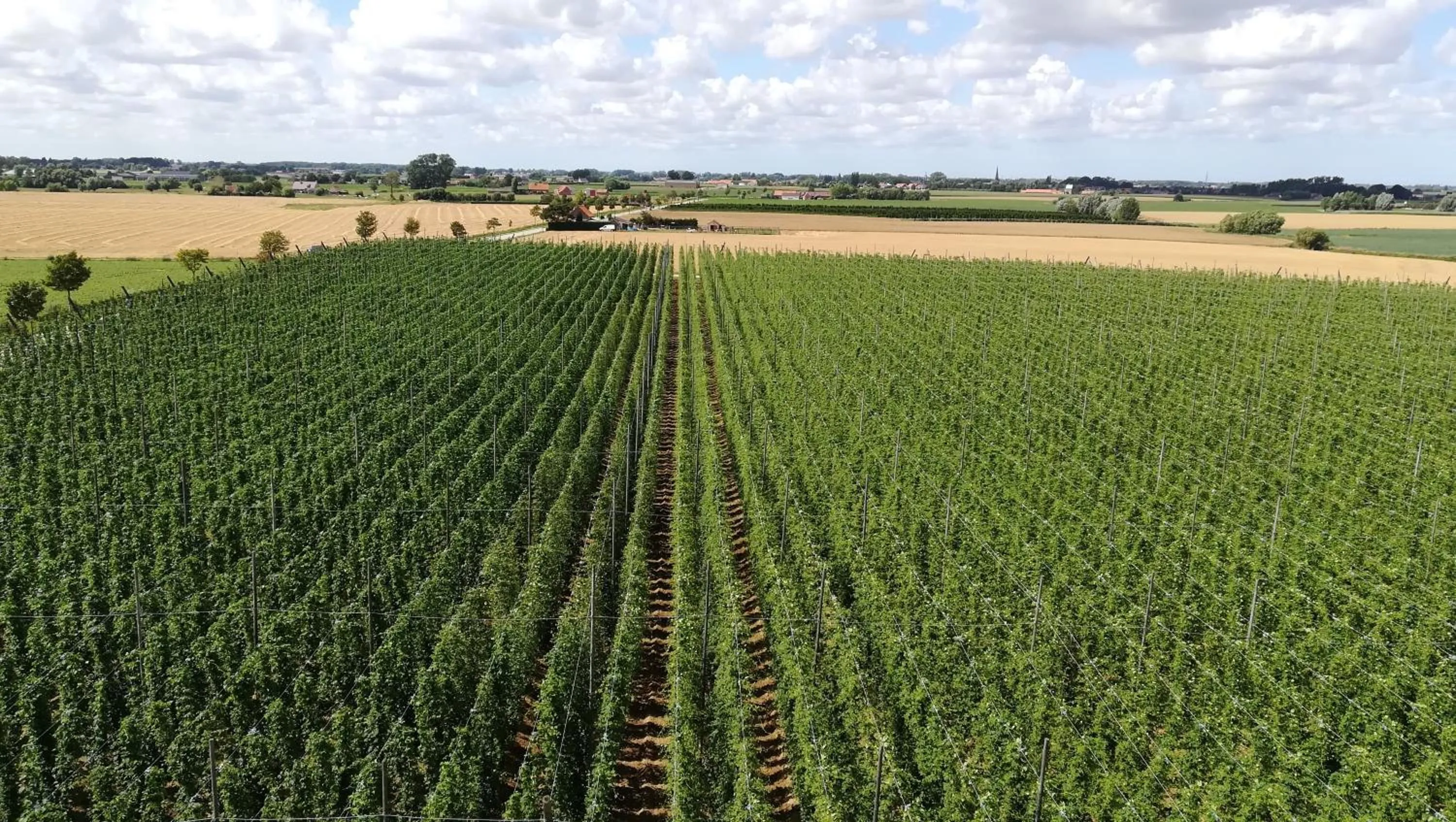 Activities in Monts et Merveilles