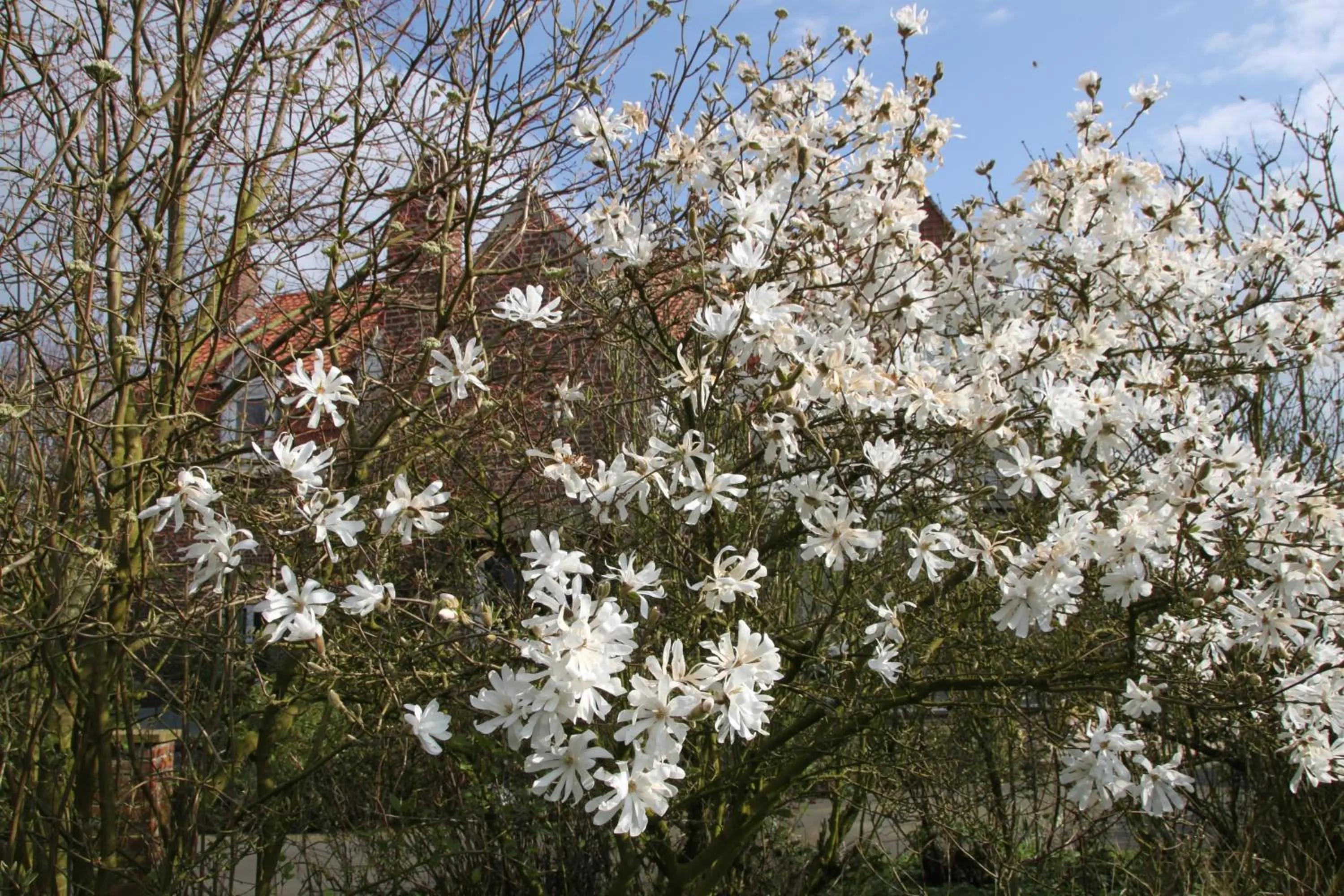 Garden view in Monts et Merveilles