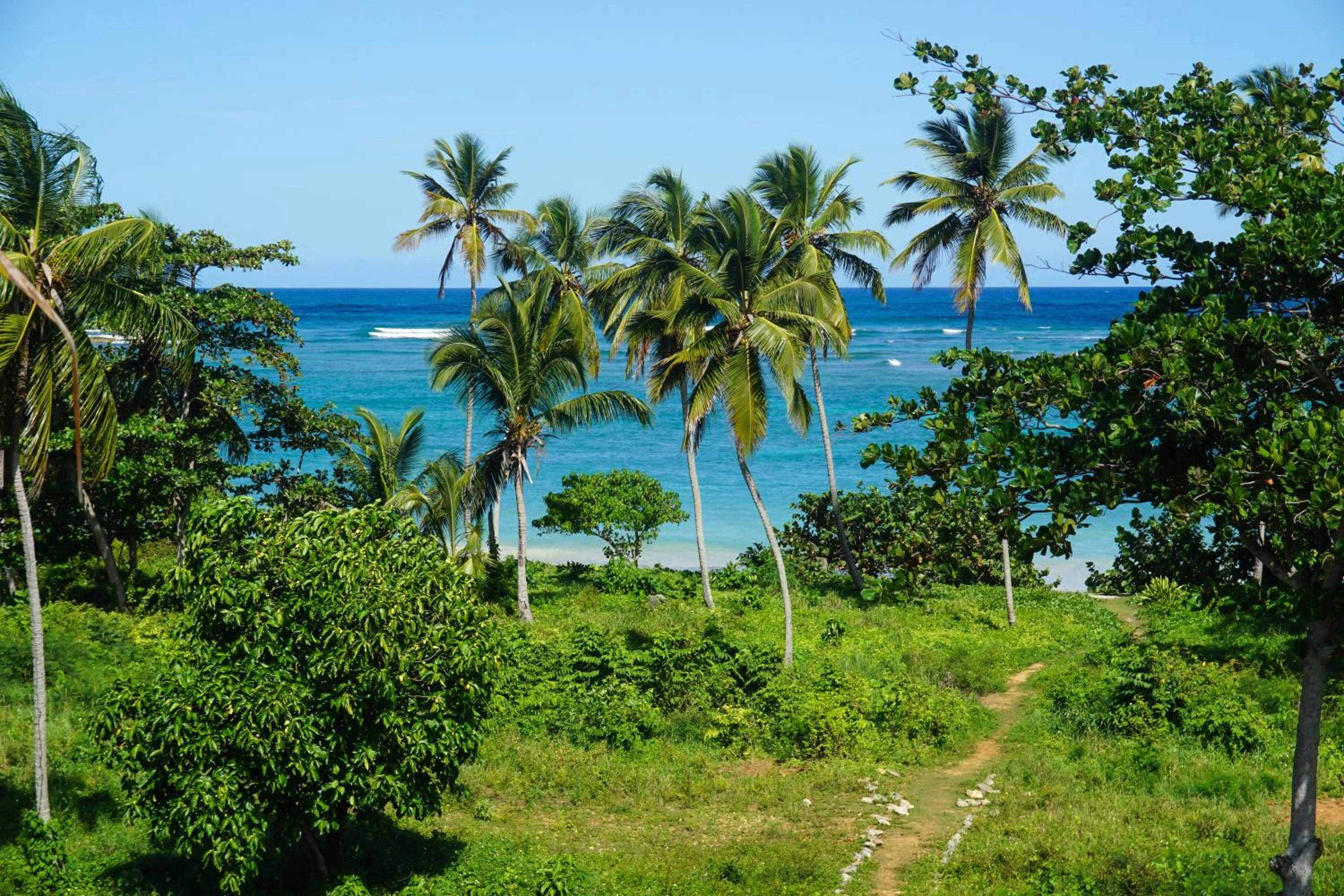 Balcony/Terrace in B&B Aparthotel La Isleta