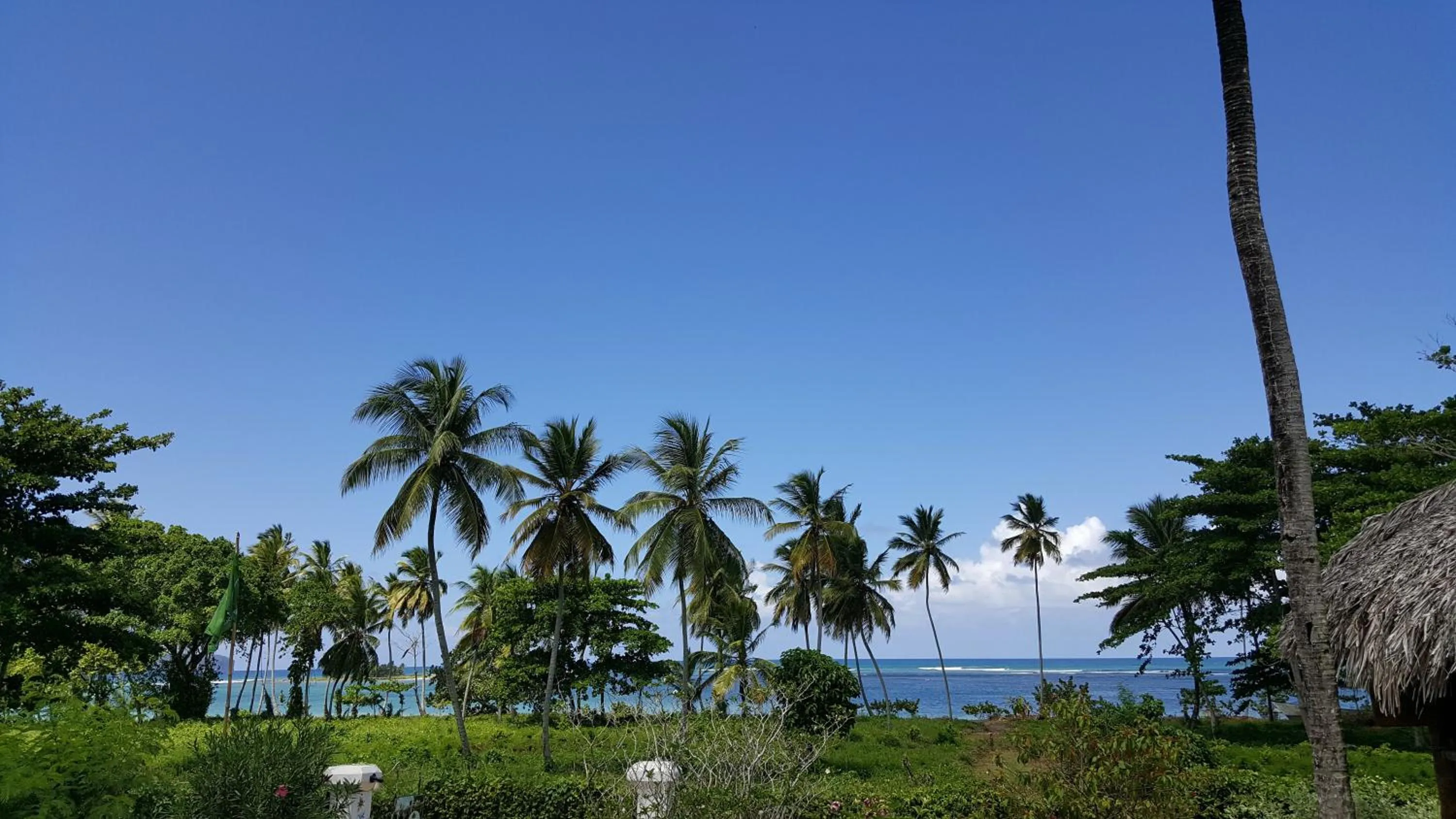 Sea view in B&B Aparthotel La Isleta