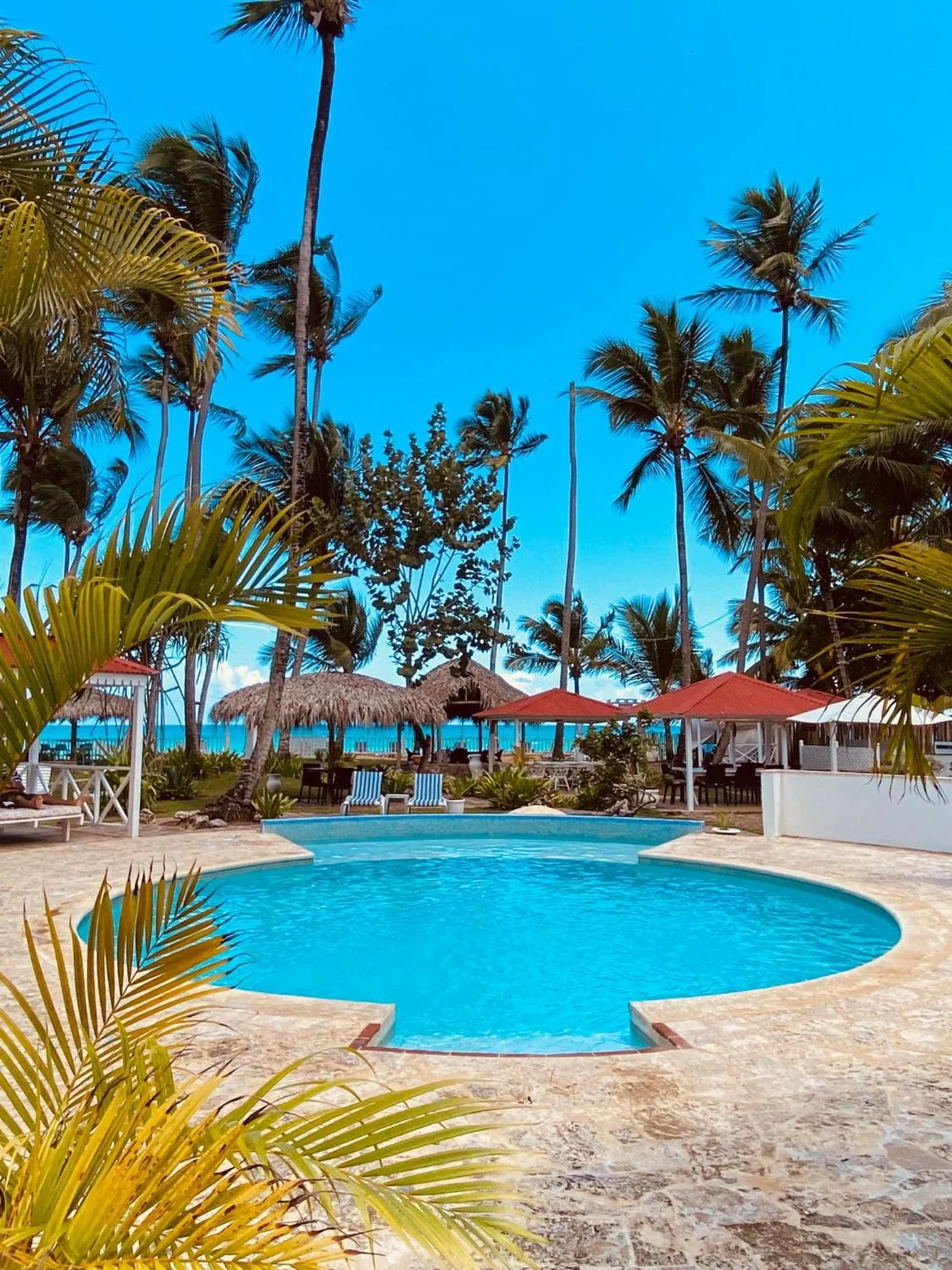 Garden view in Hotel Casa Coson