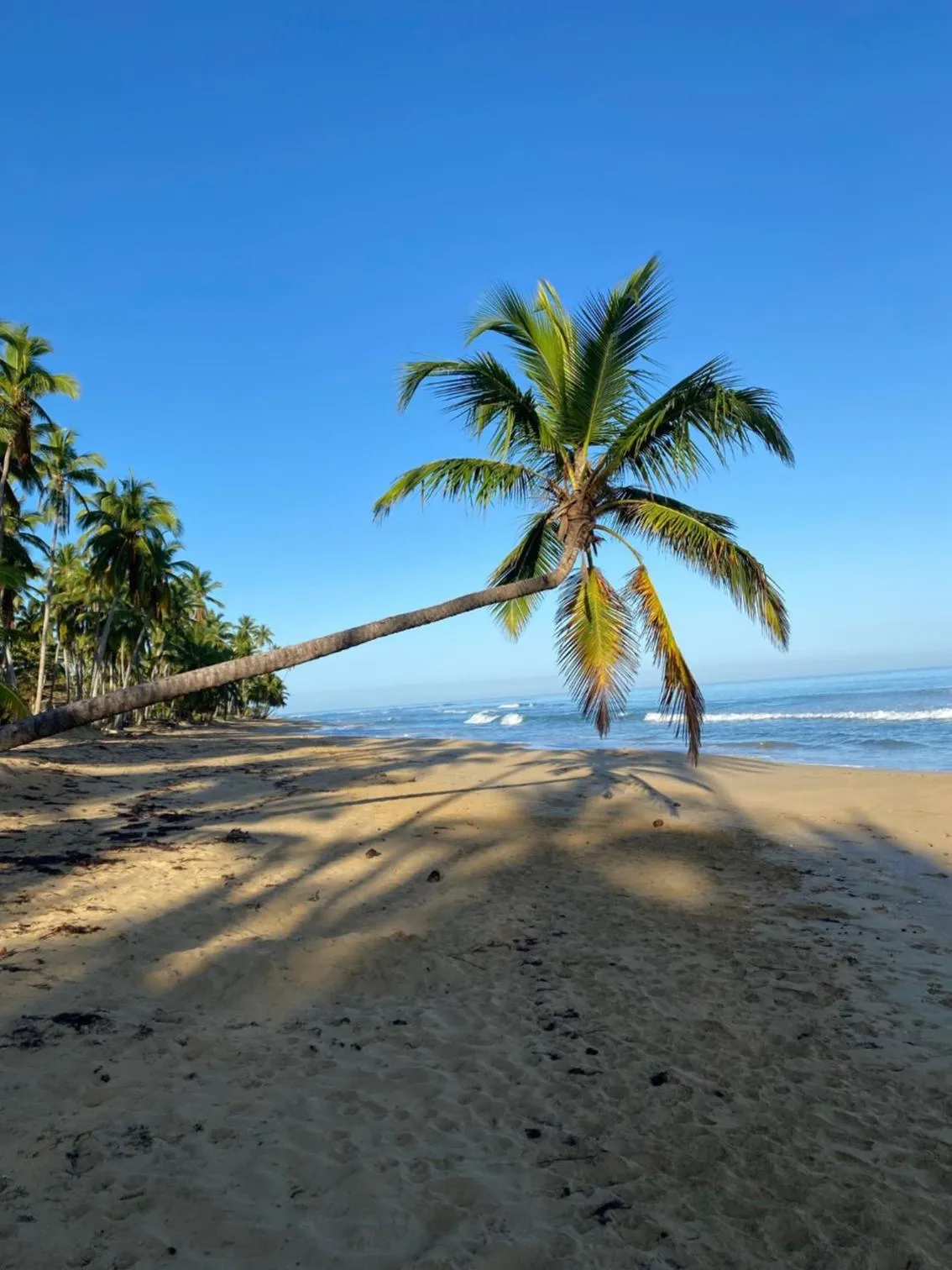 Nearby landmark in Hotel Casa Coson