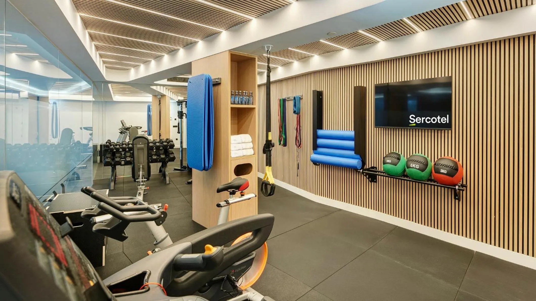 Fitness centre/facilities in Sercotel HMO Martina