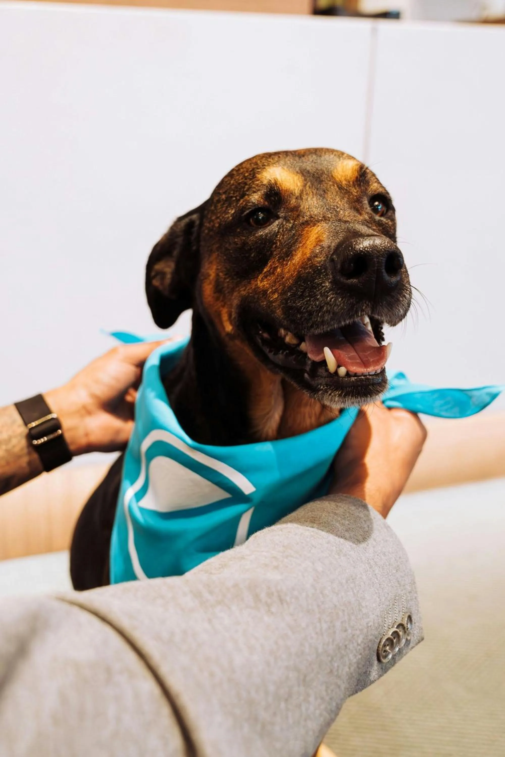 Other in Element Reno Experience District