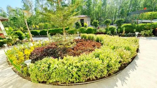 The Tiger Claw Resort