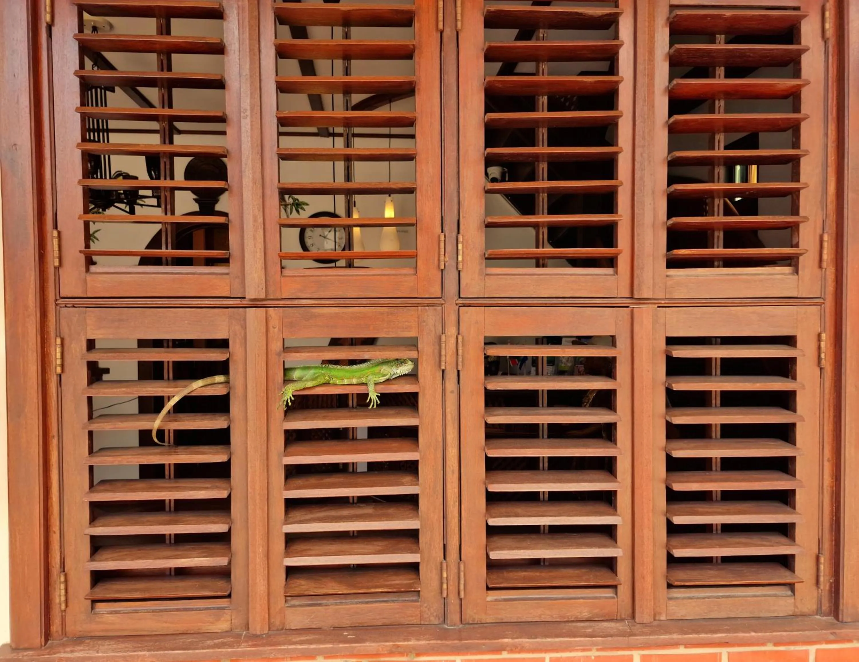 Lobby or reception in Greenheart Boutique Hotel