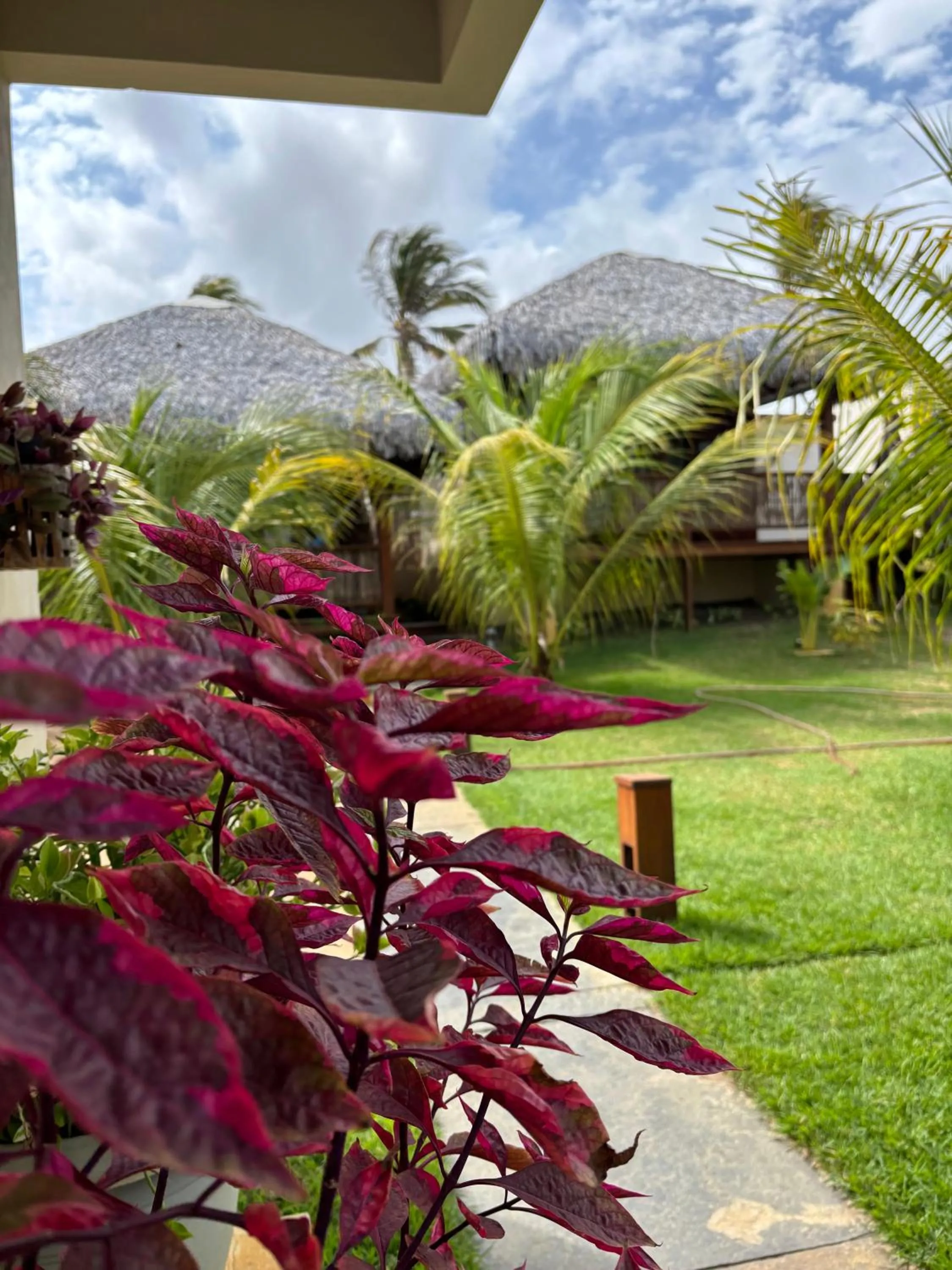 Natural landscape in Pousada Lanea Experience