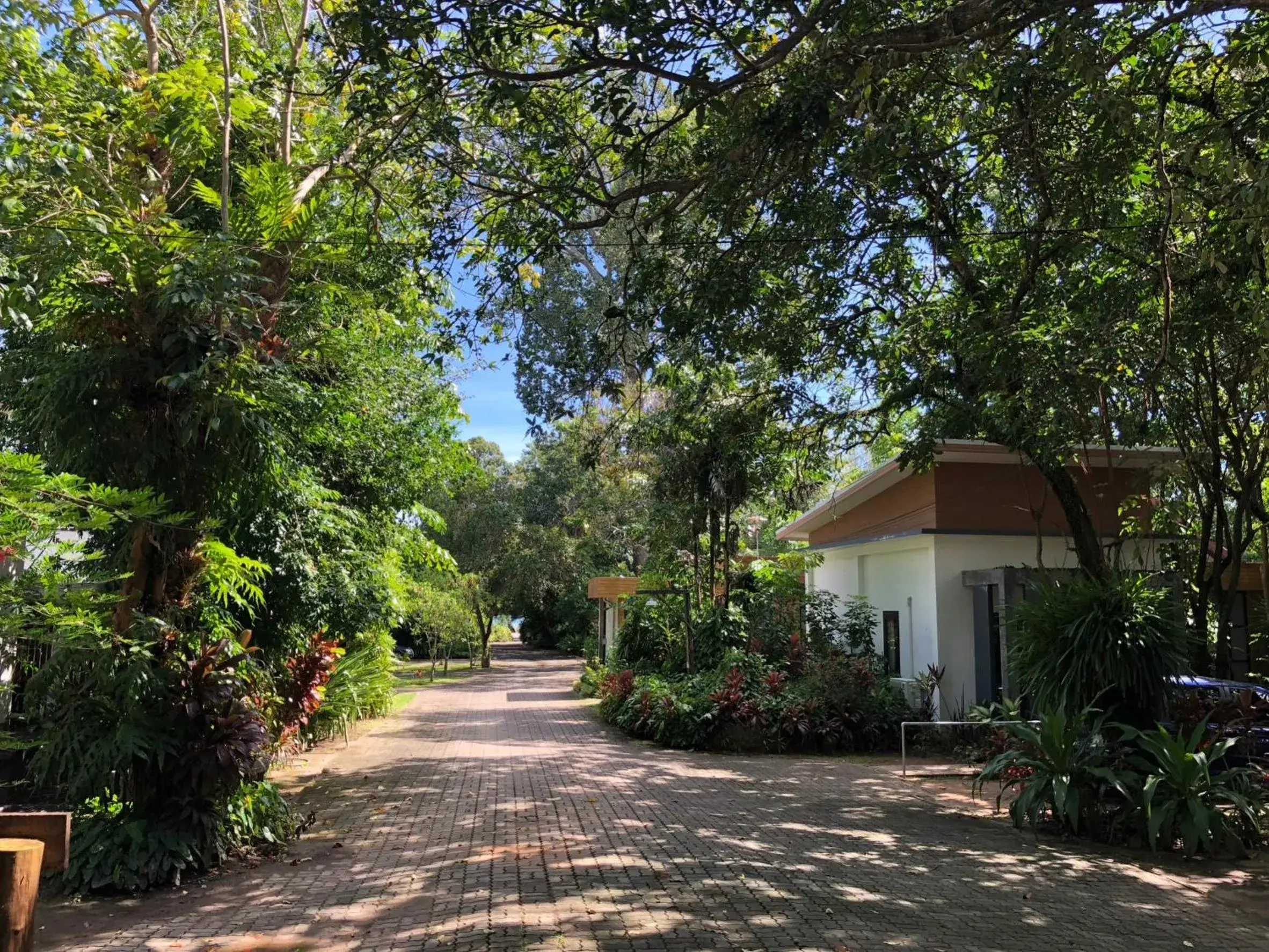 Suite with Garden View in Likita Resort Suite with Garden View in Likita Resort