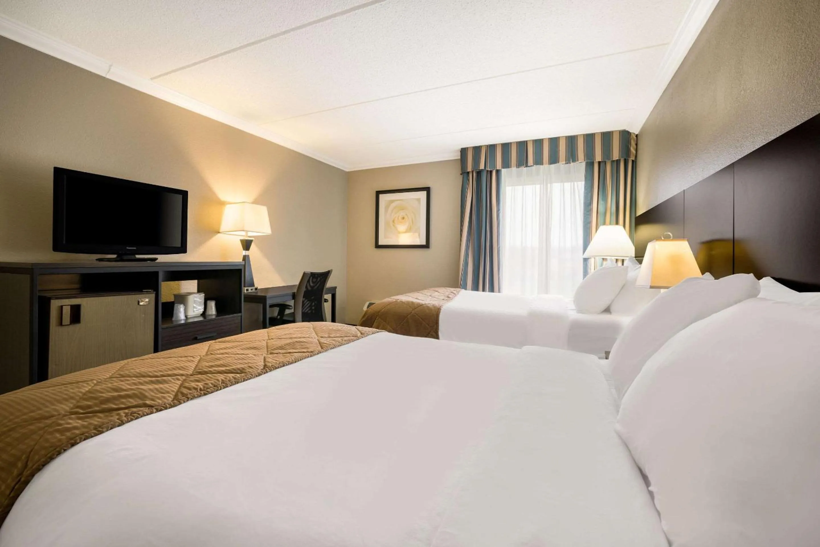 Bedroom, Bed in Suburban Studios Syracuse Fairgrounds