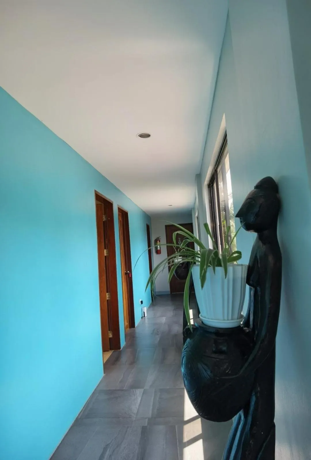 Property building in Amos Pili Tree Inn powered by Cocotel