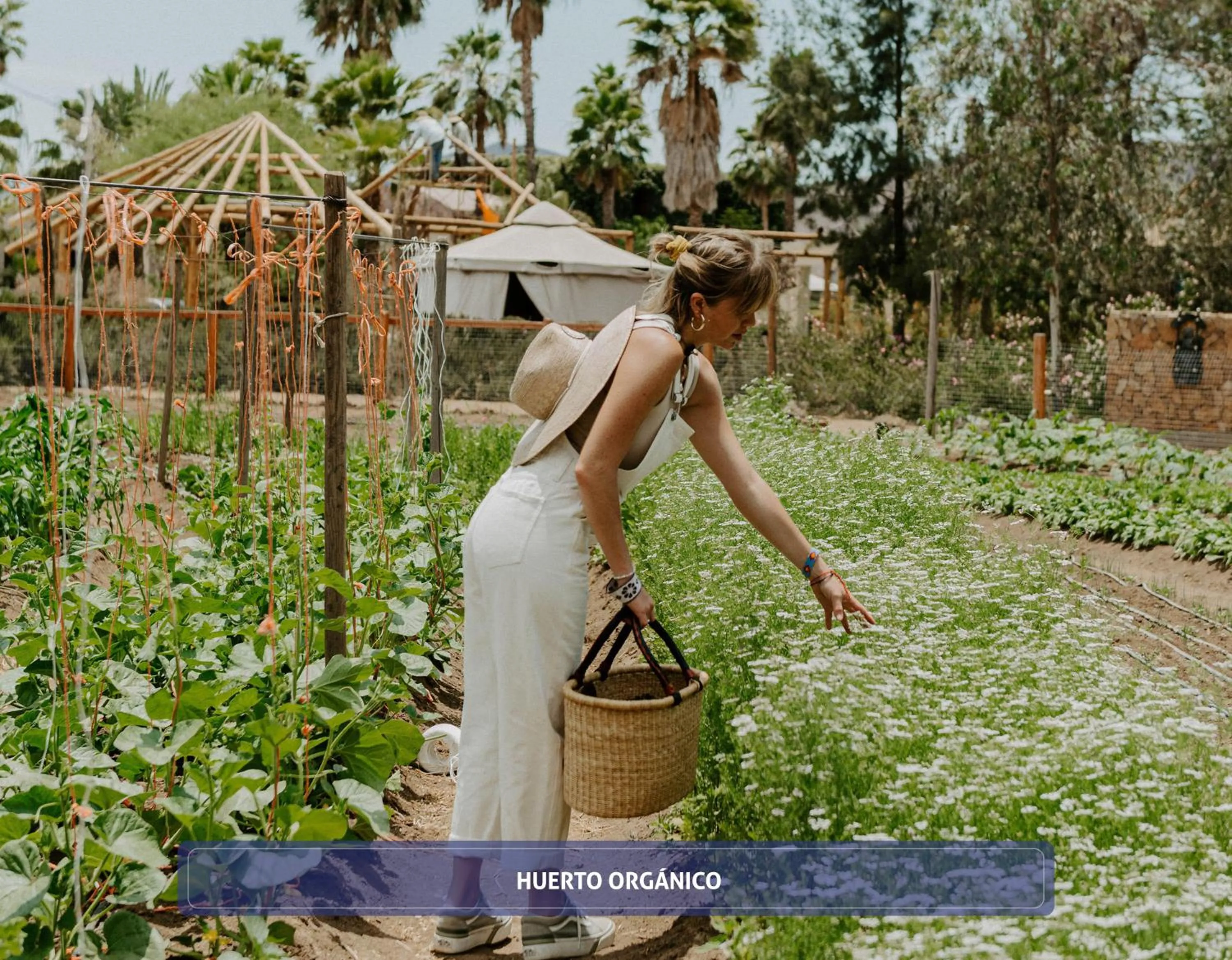 People in Hotel Boutique Valle de Guadalupe & Spa
