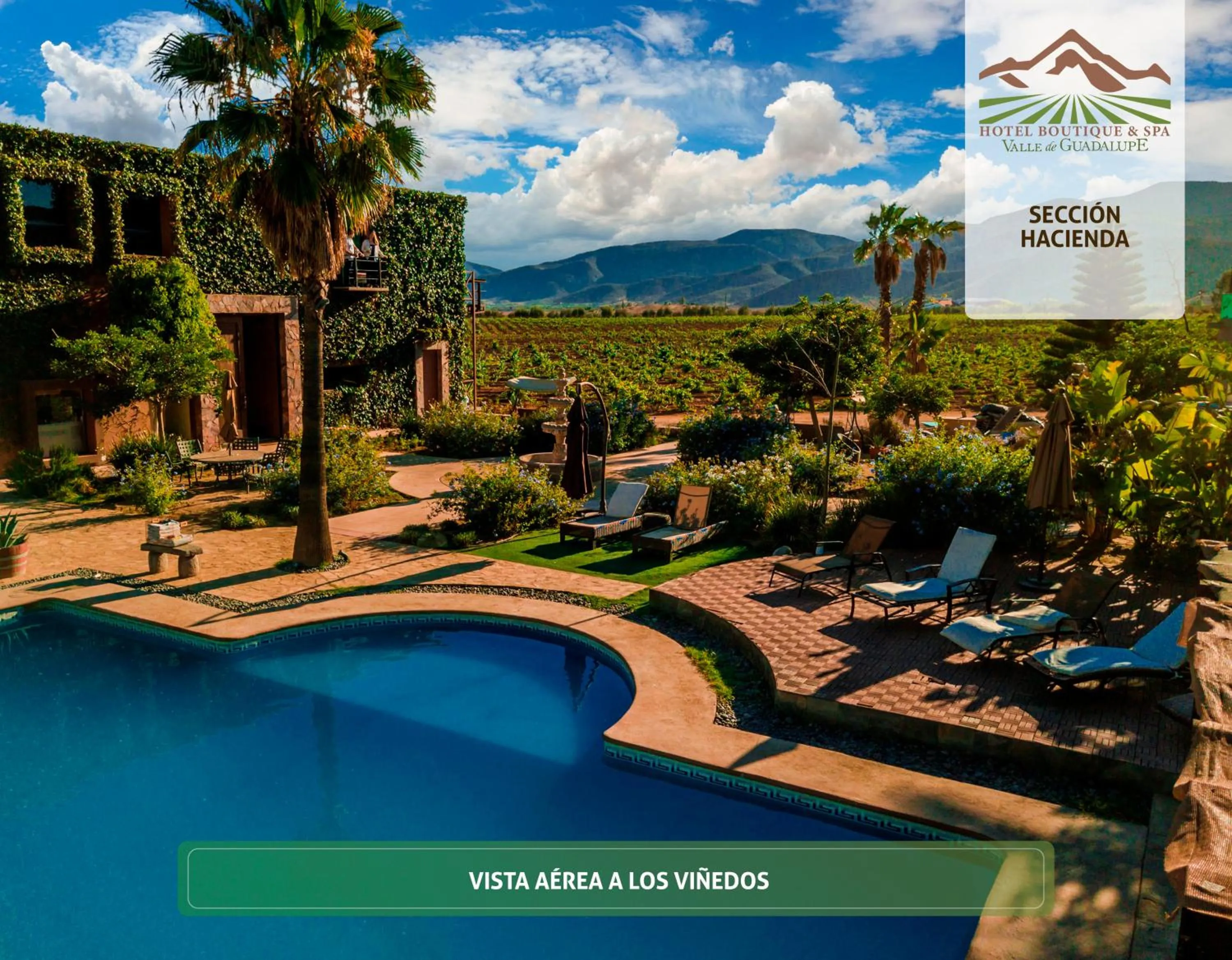 Swimming pool in Hotel Boutique Valle de Guadalupe & Spa