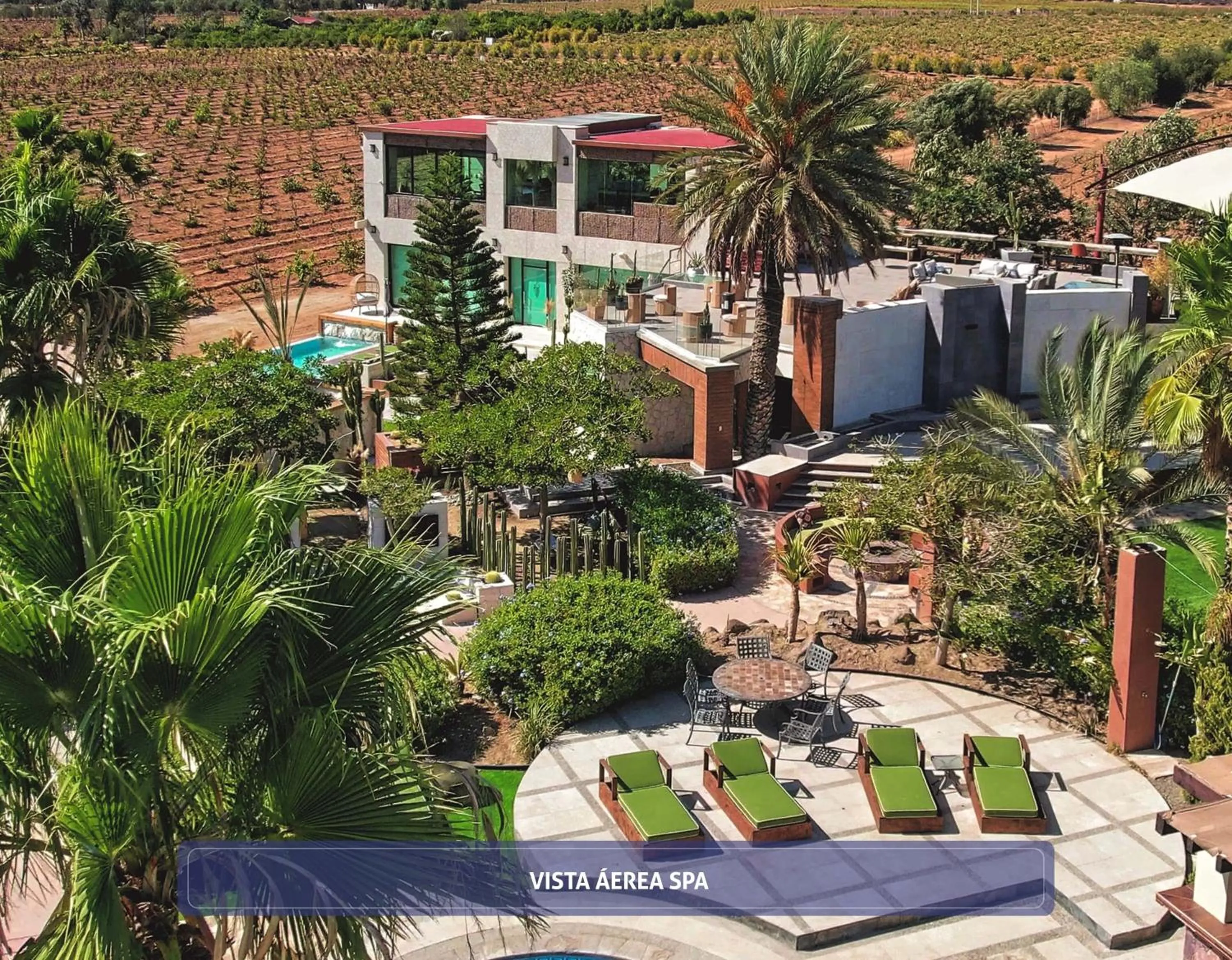 Bird's eye view in Hotel Boutique Valle de Guadalupe & Spa