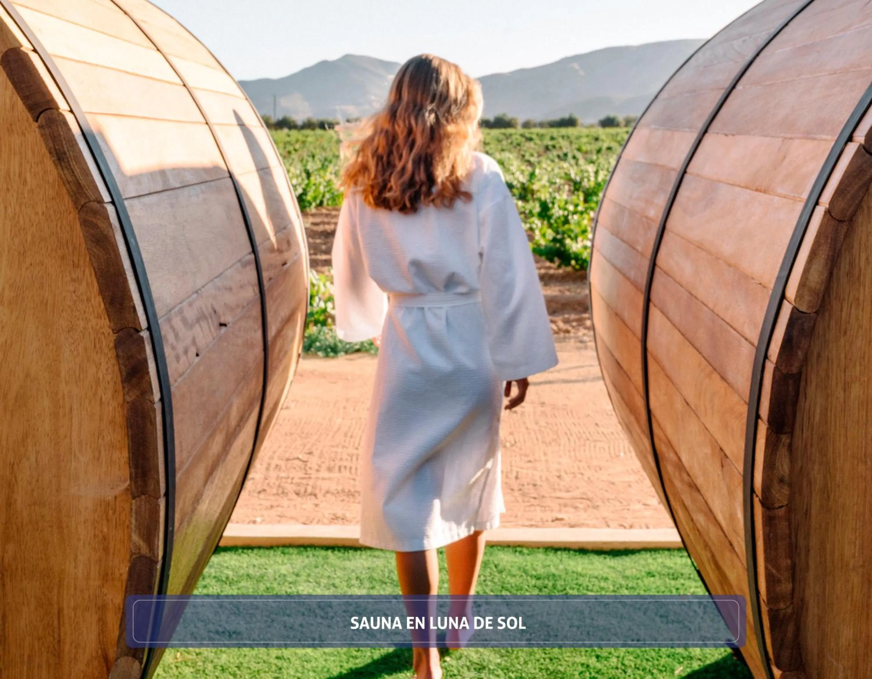 Activities in Hotel Boutique Valle de Guadalupe & Spa