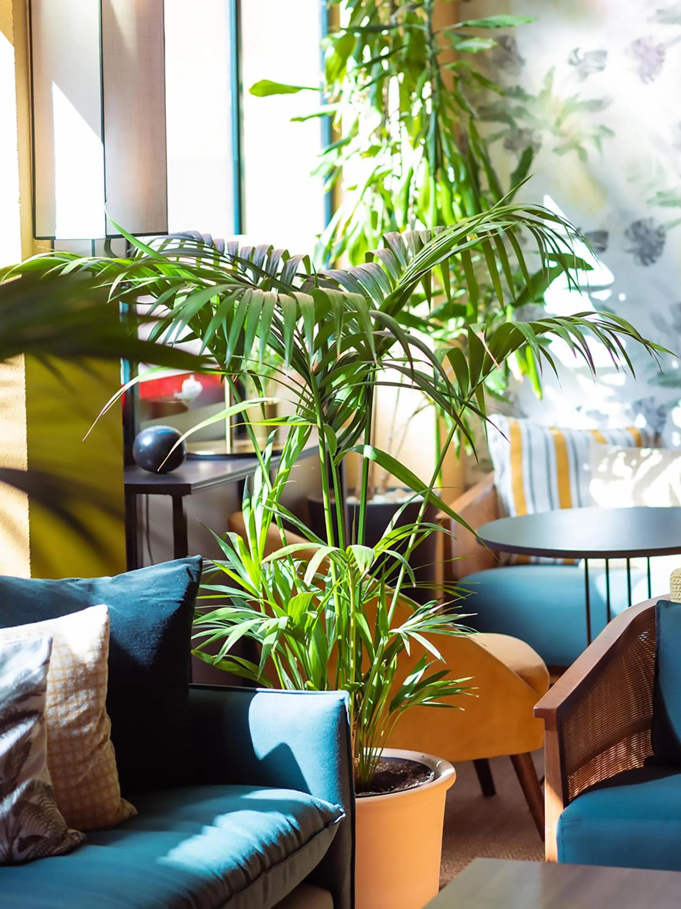 Area and facilities in Isla Canela Golf Hotel Boutique