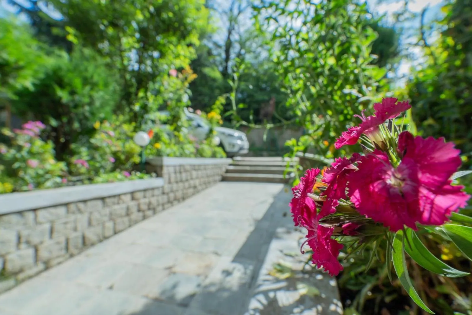 Garden view in Hotel Negi's Mayflower A heritage Since 1965