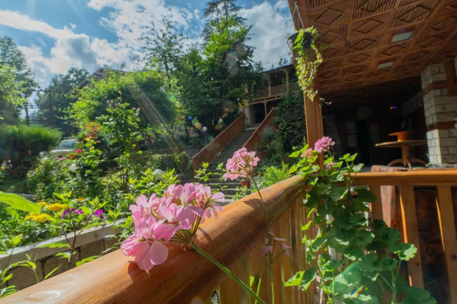 Day in Hotel Negi's Mayflower A heritage Since 1965