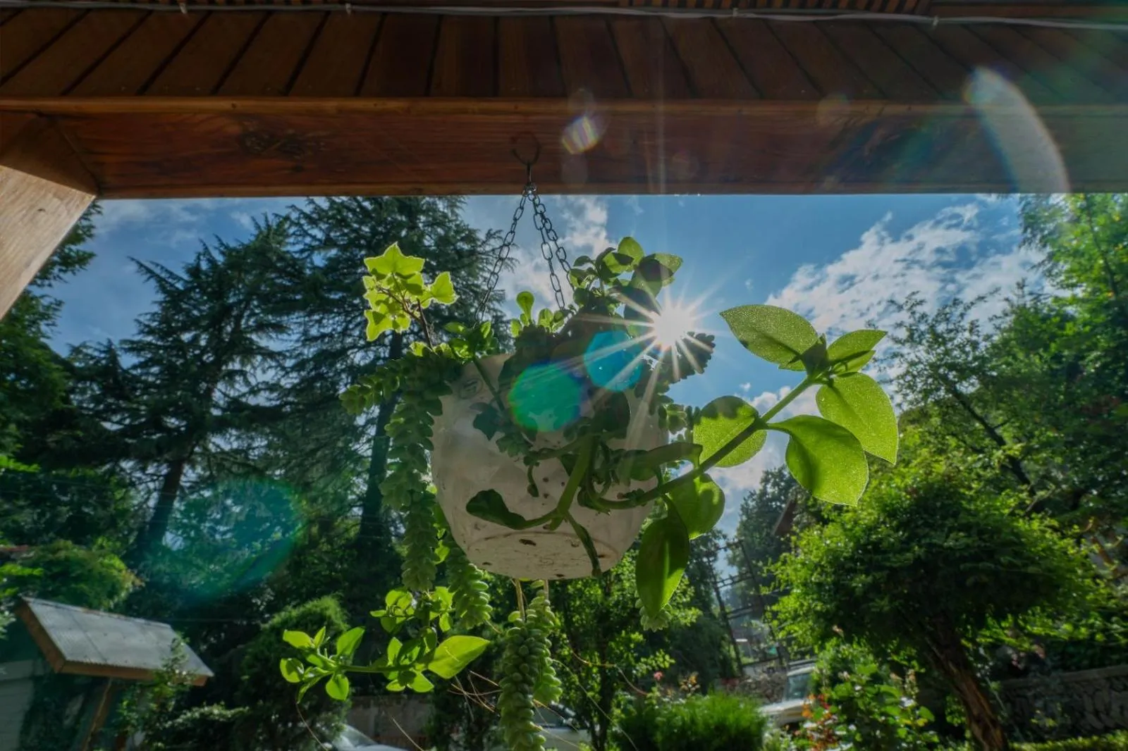 Day in Hotel Negi's Mayflower A heritage Since 1965