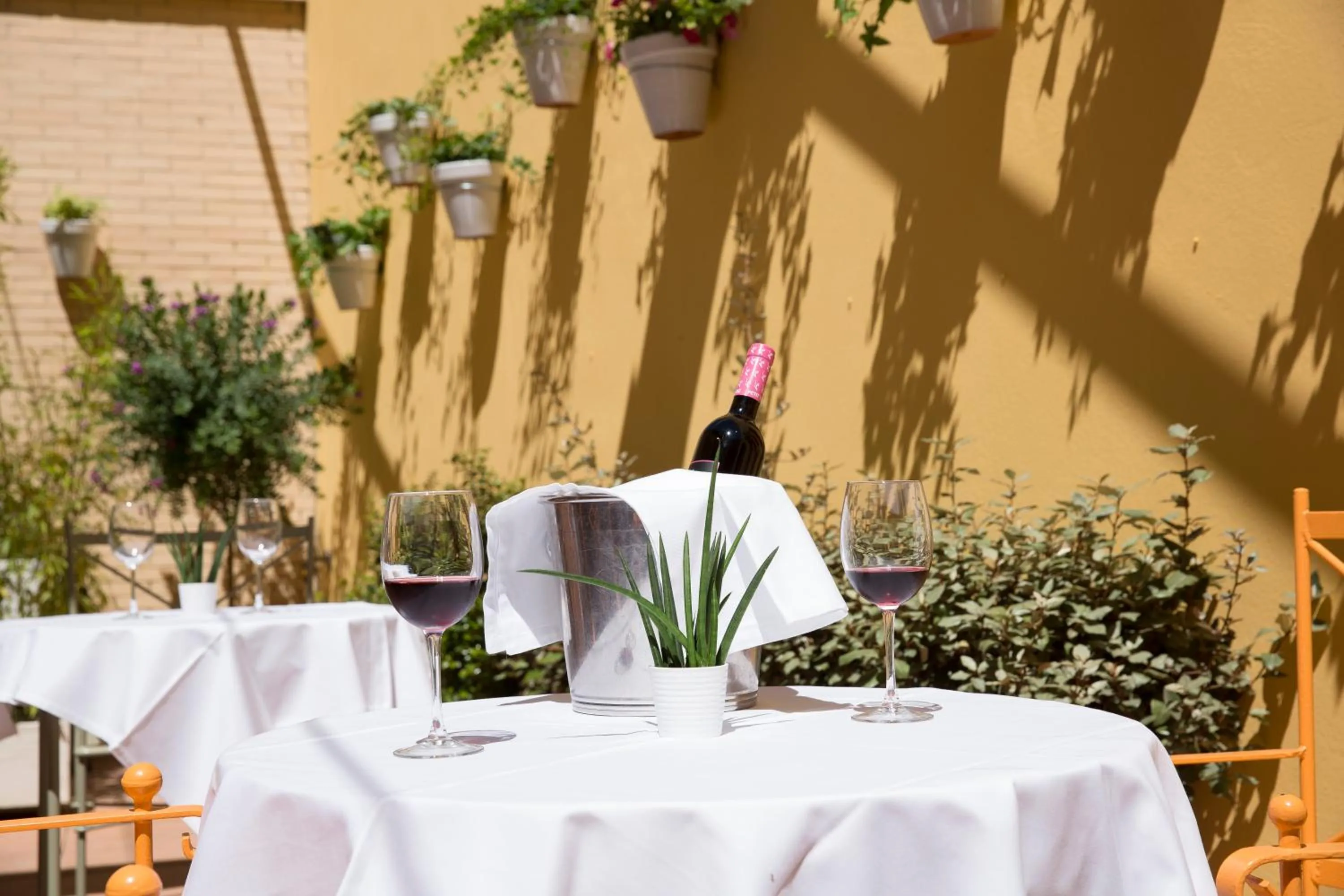 Restaurant/places to eat in Avenida Hotel