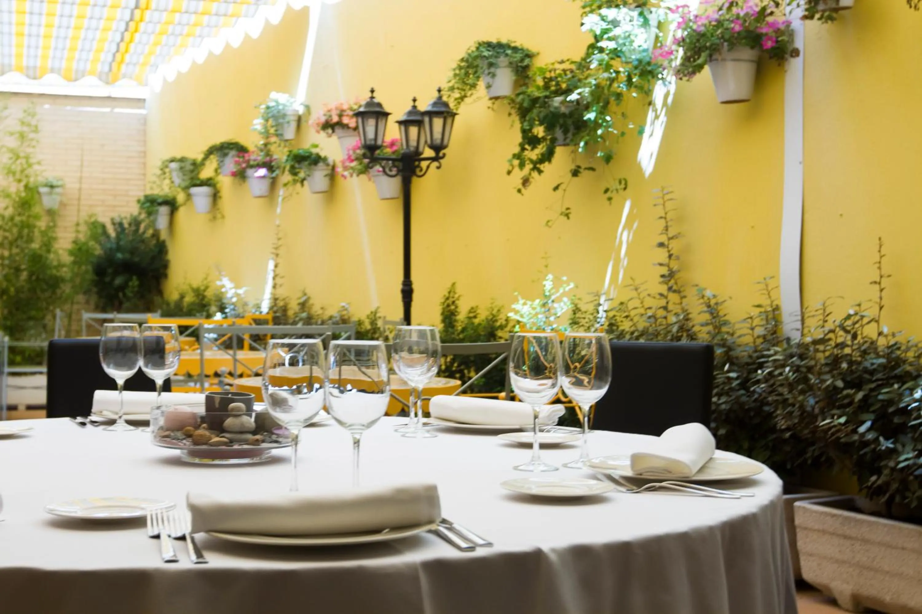 Restaurant/places to eat in Avenida Hotel