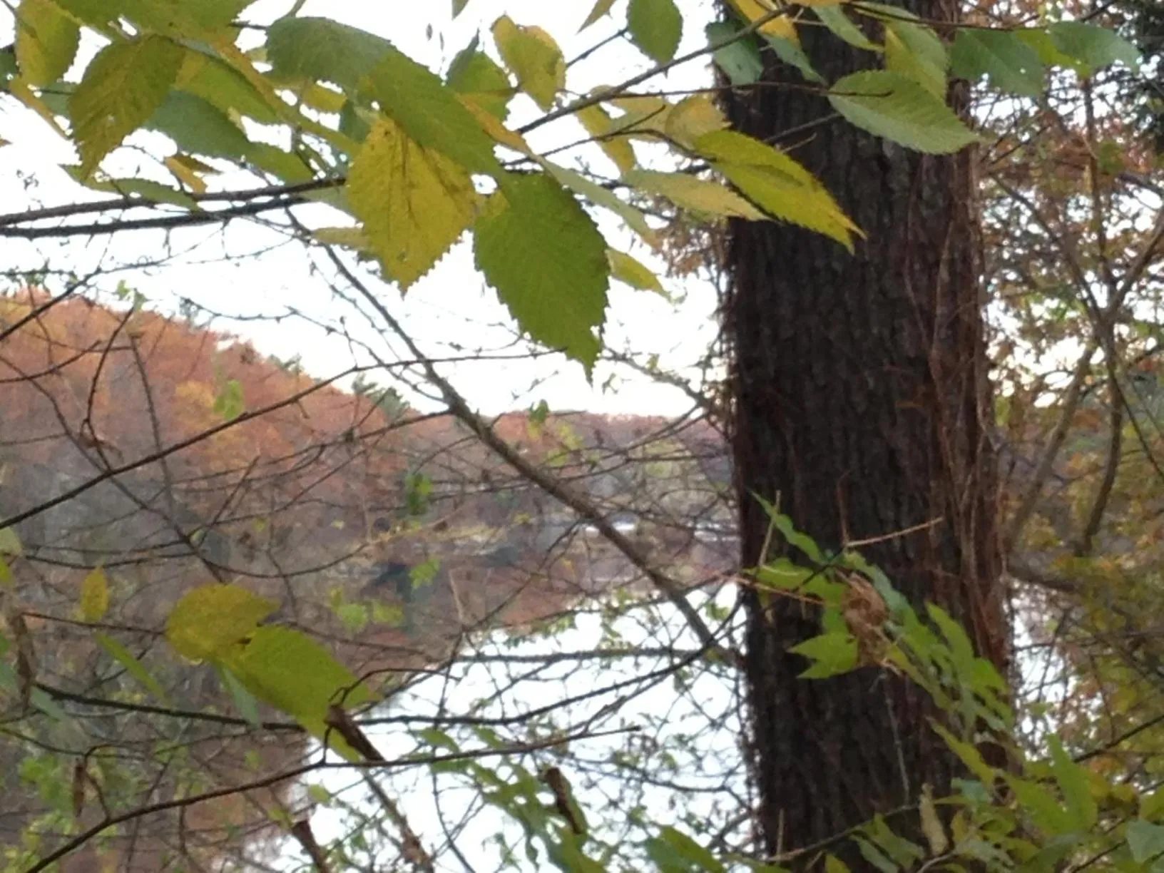 View (from property/room) in Milford Motel On the River