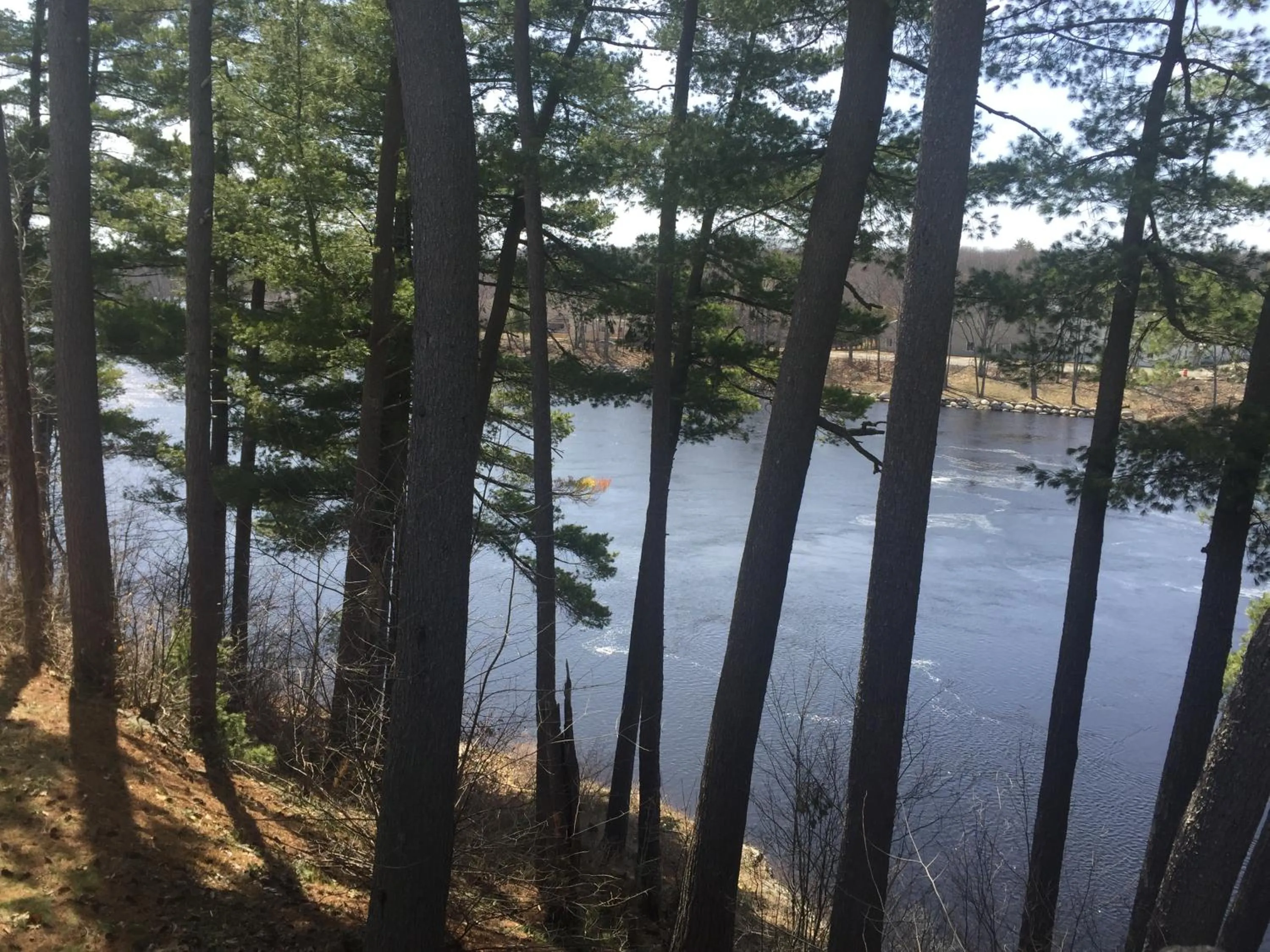 View (from property/room) in Milford Motel On the River