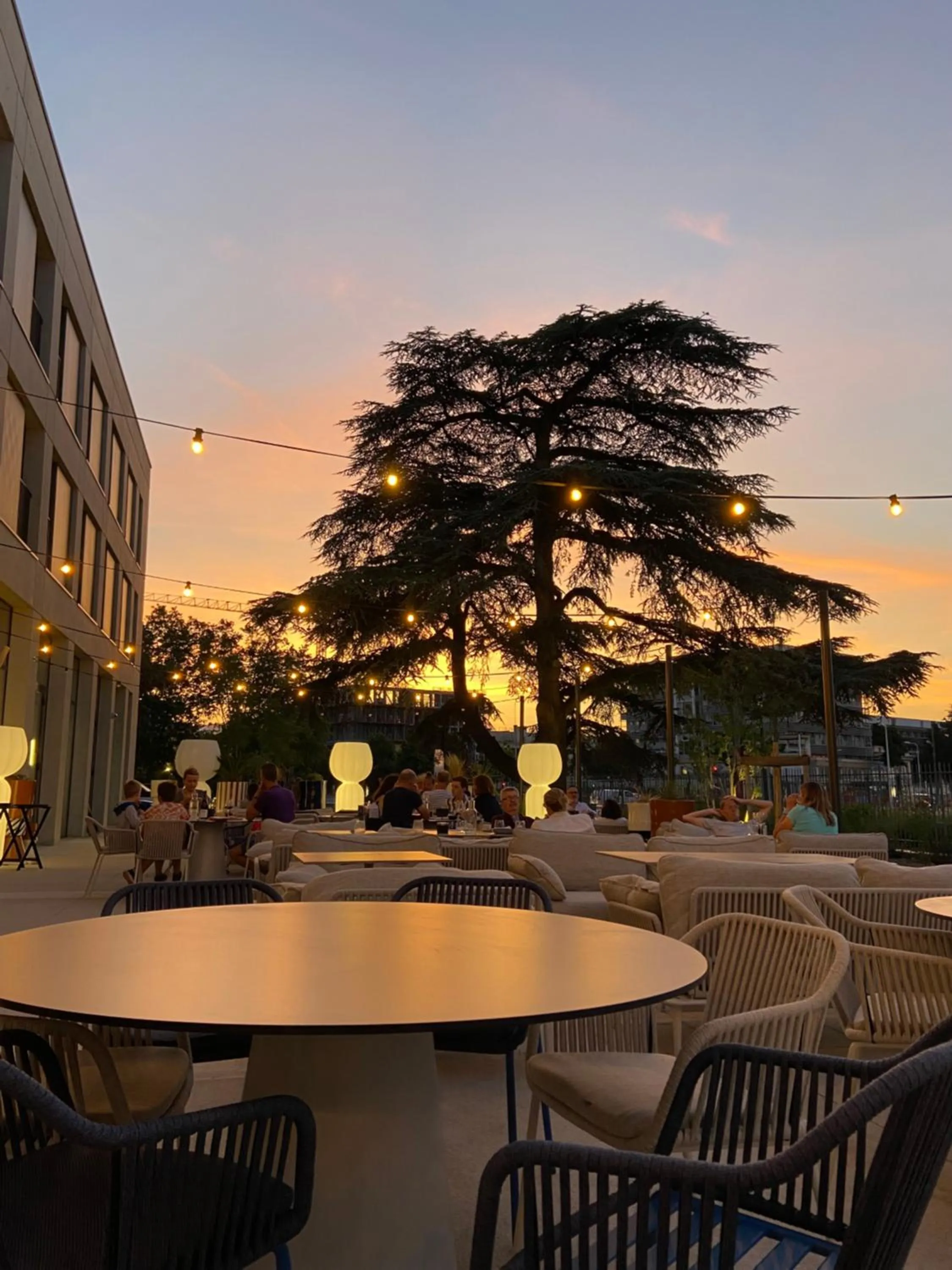 Restaurant/places to eat in The Ruck Hotel