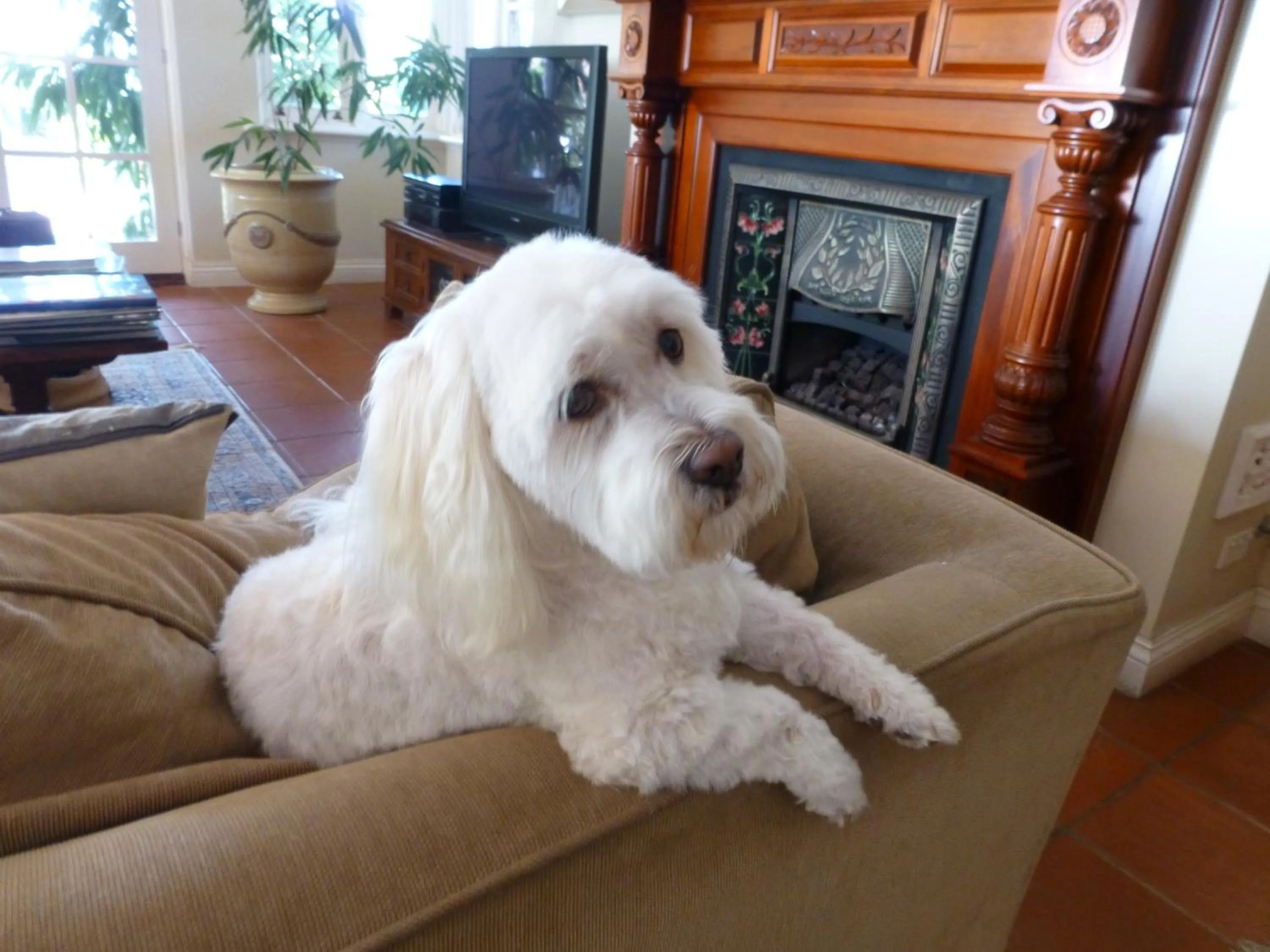 Other in Lakeside Bed & Breakfast