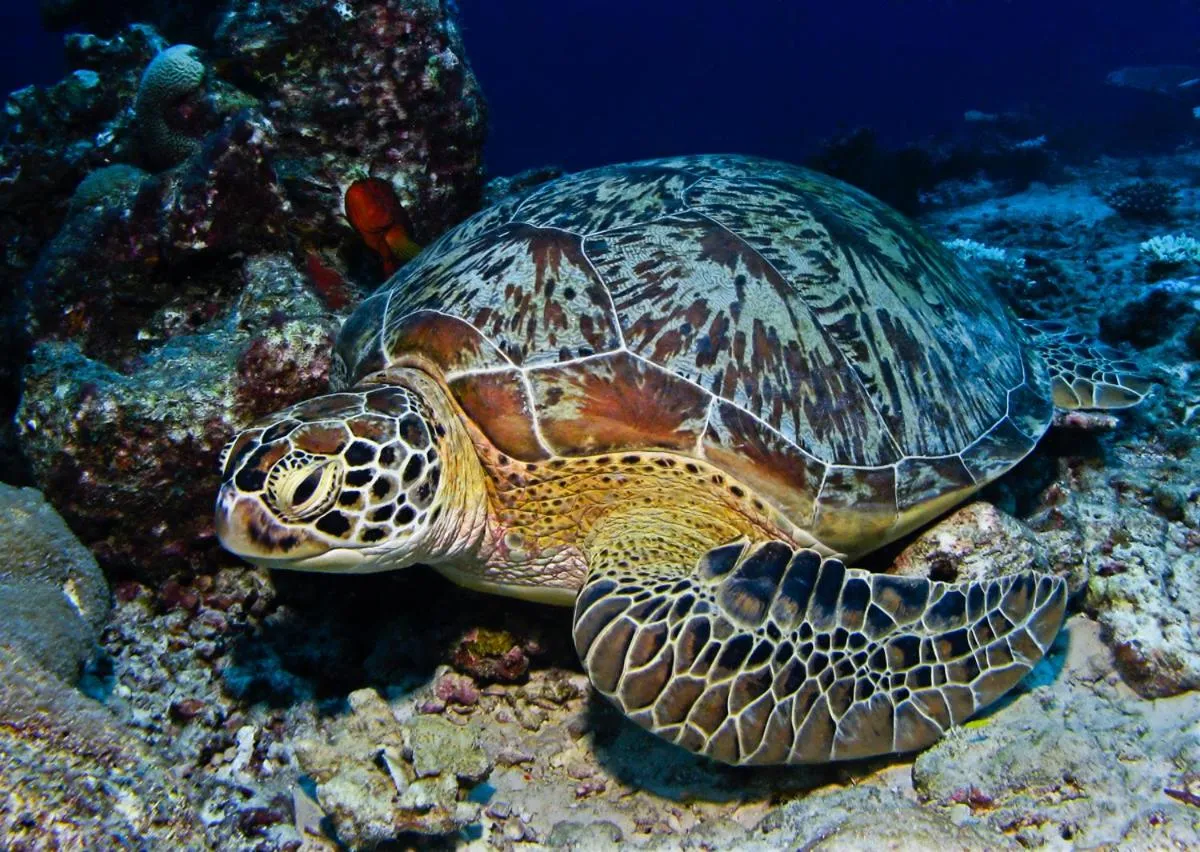 Activities in Manta Reserve