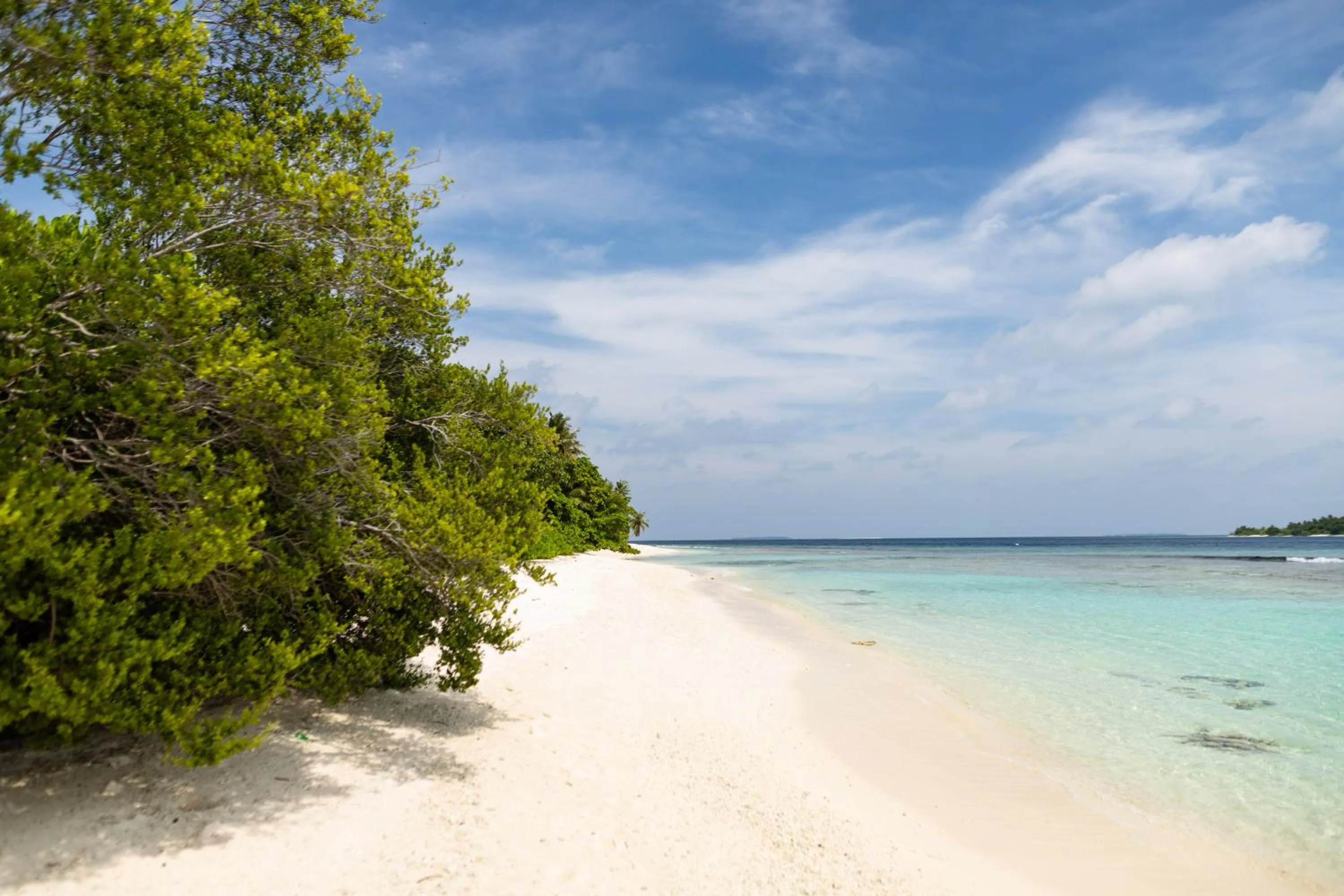 Beach in Manta Reserve