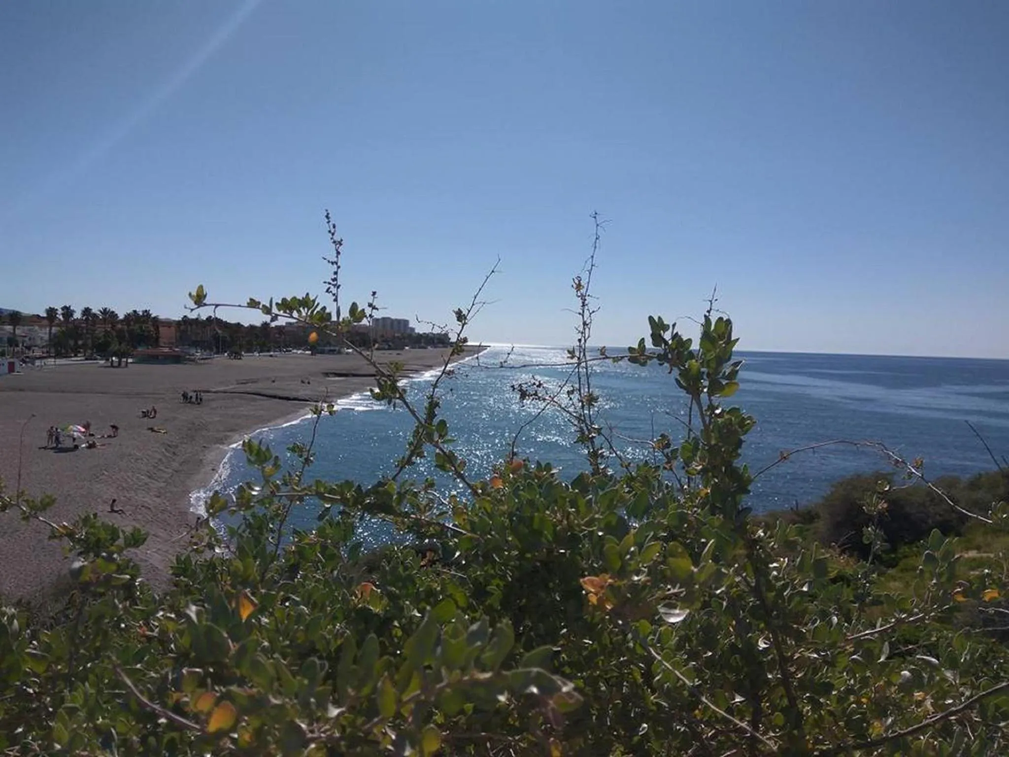 Natural landscape in Hotel Avenida Tropical by Bossh! Hotels