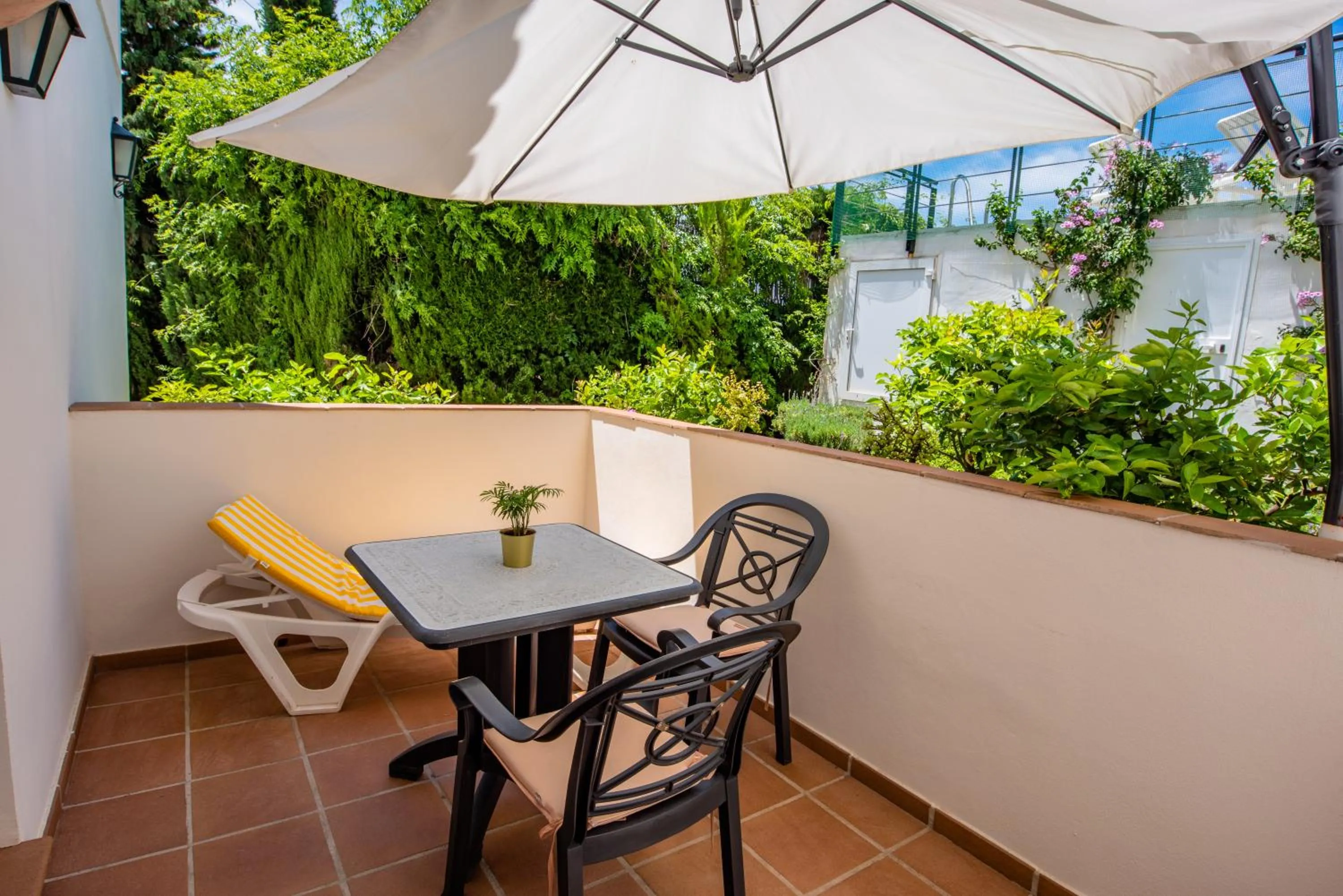 Garden in Villa Guadalupe