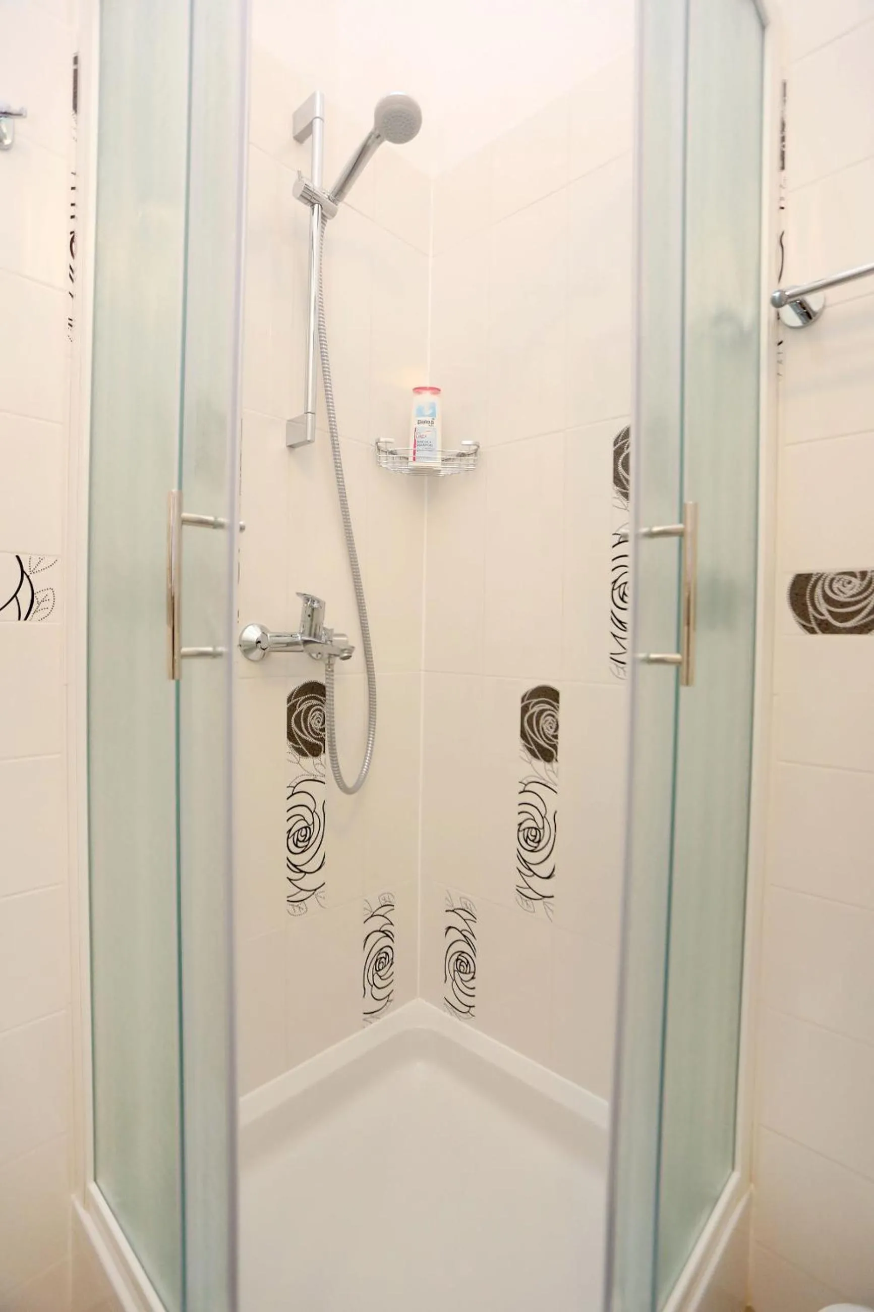 Shower in Rooms Tisa Old Town