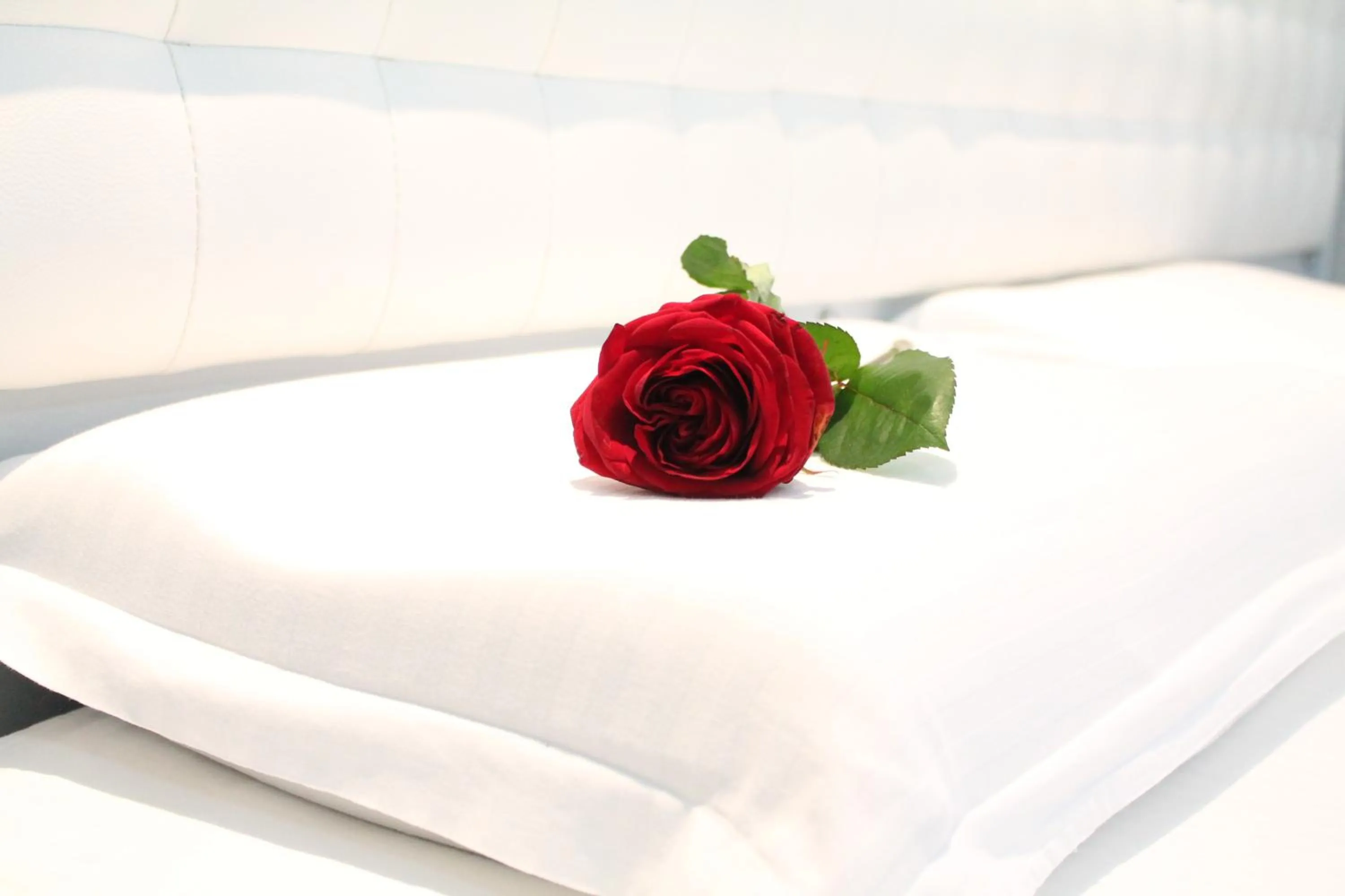 Bed in Hotel Vila Verde City Center