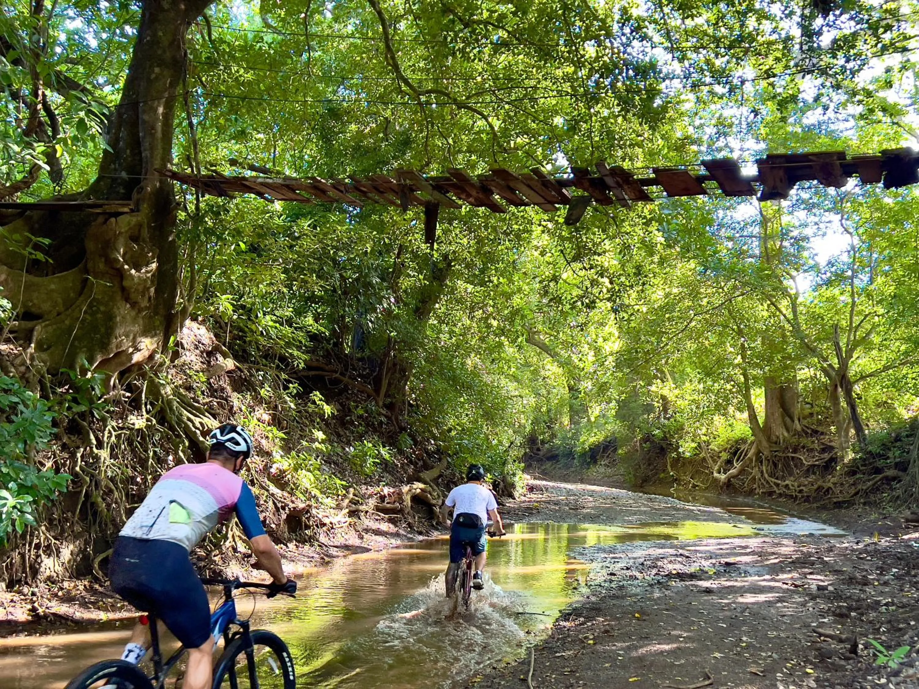 Cycling in Suitree Experience Hotel