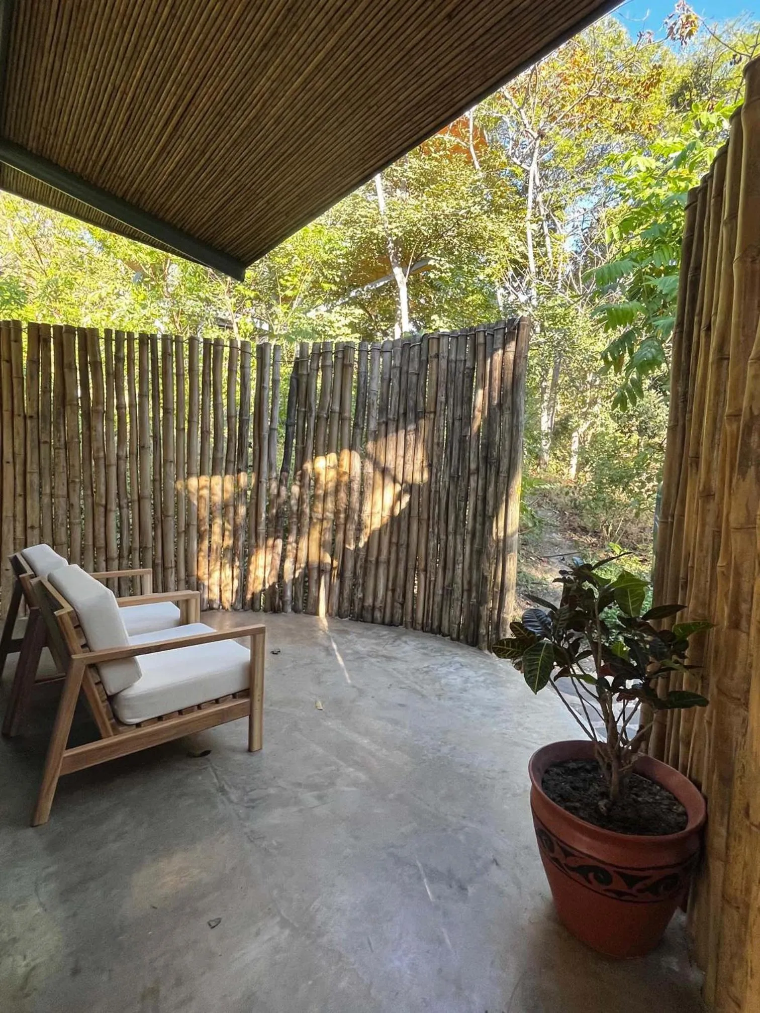 Garden view in Suitree Experience Hotel