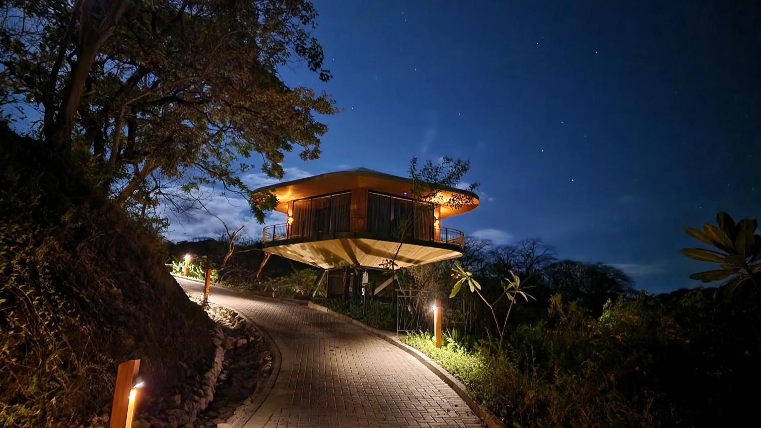 Night in Suitree Experience Hotel