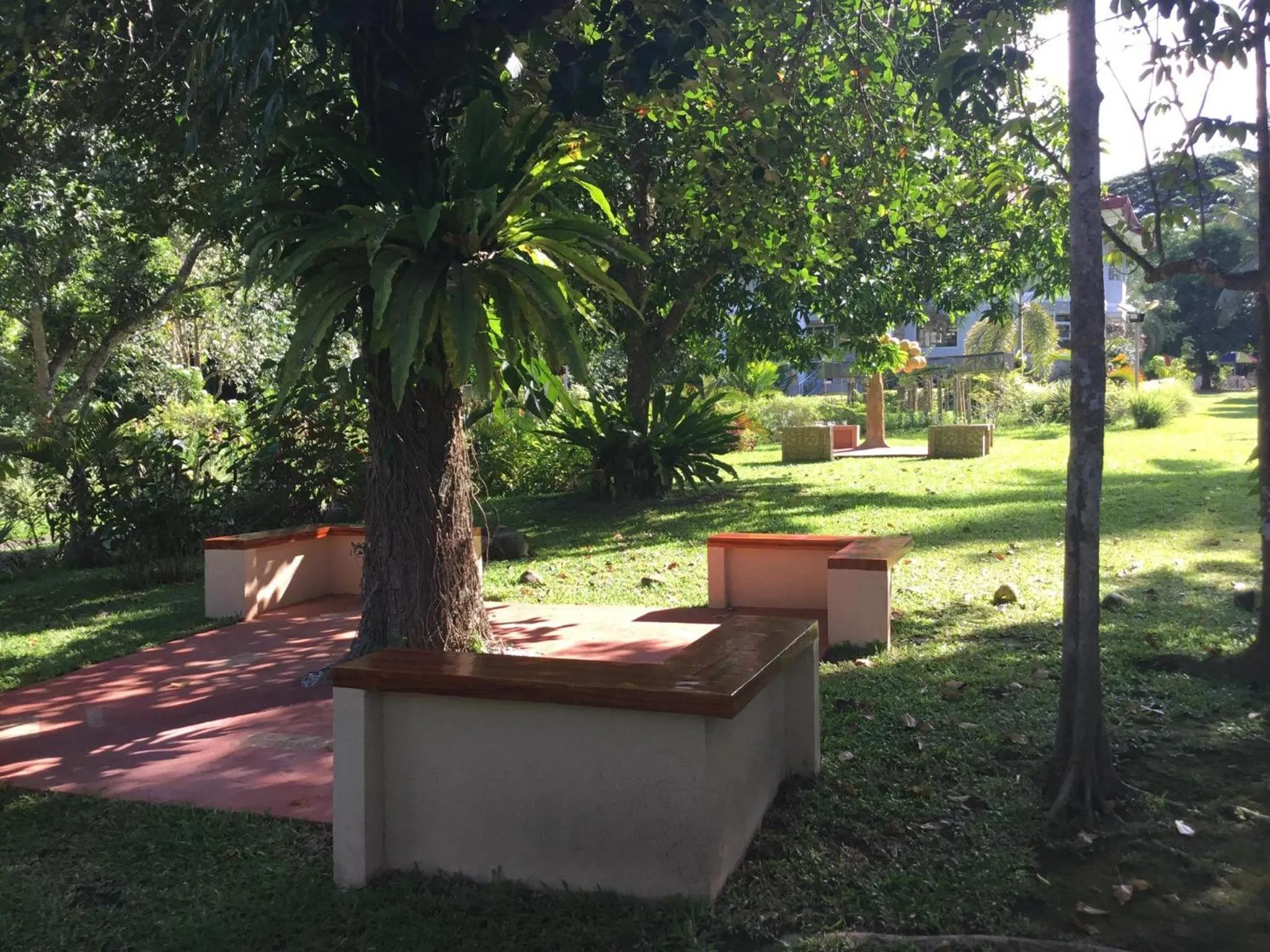 Garden in Camiguin Lanzones Resort