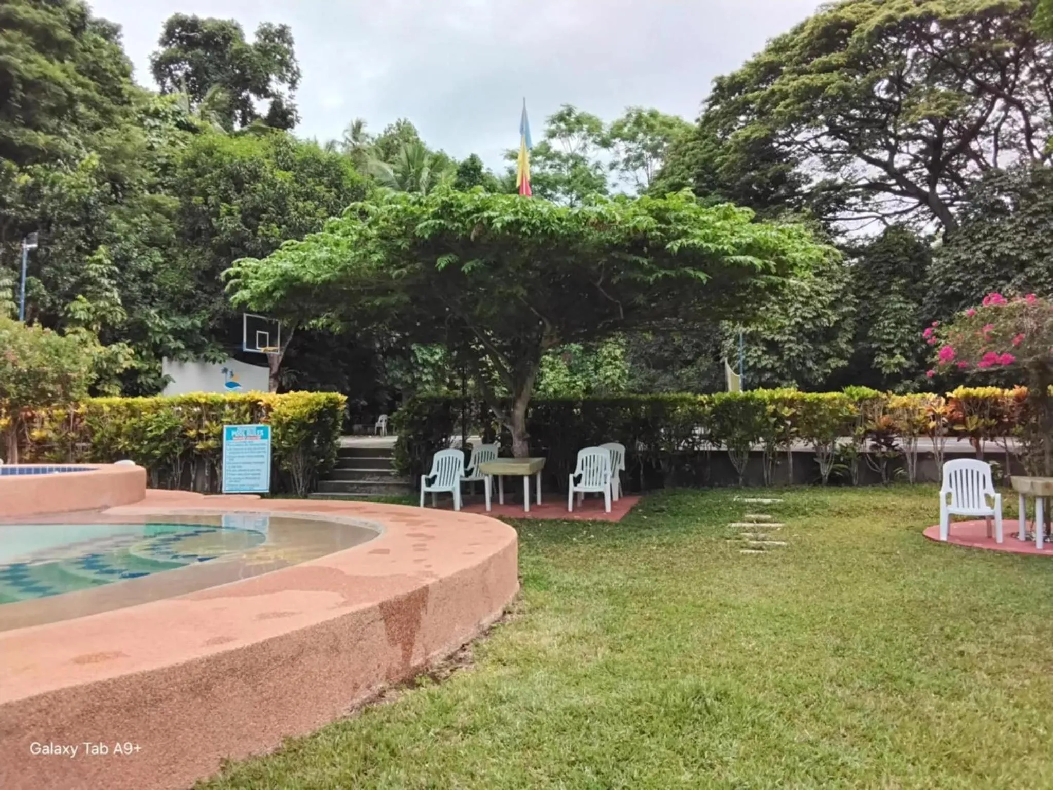 Garden in Camiguin Lanzones Resort