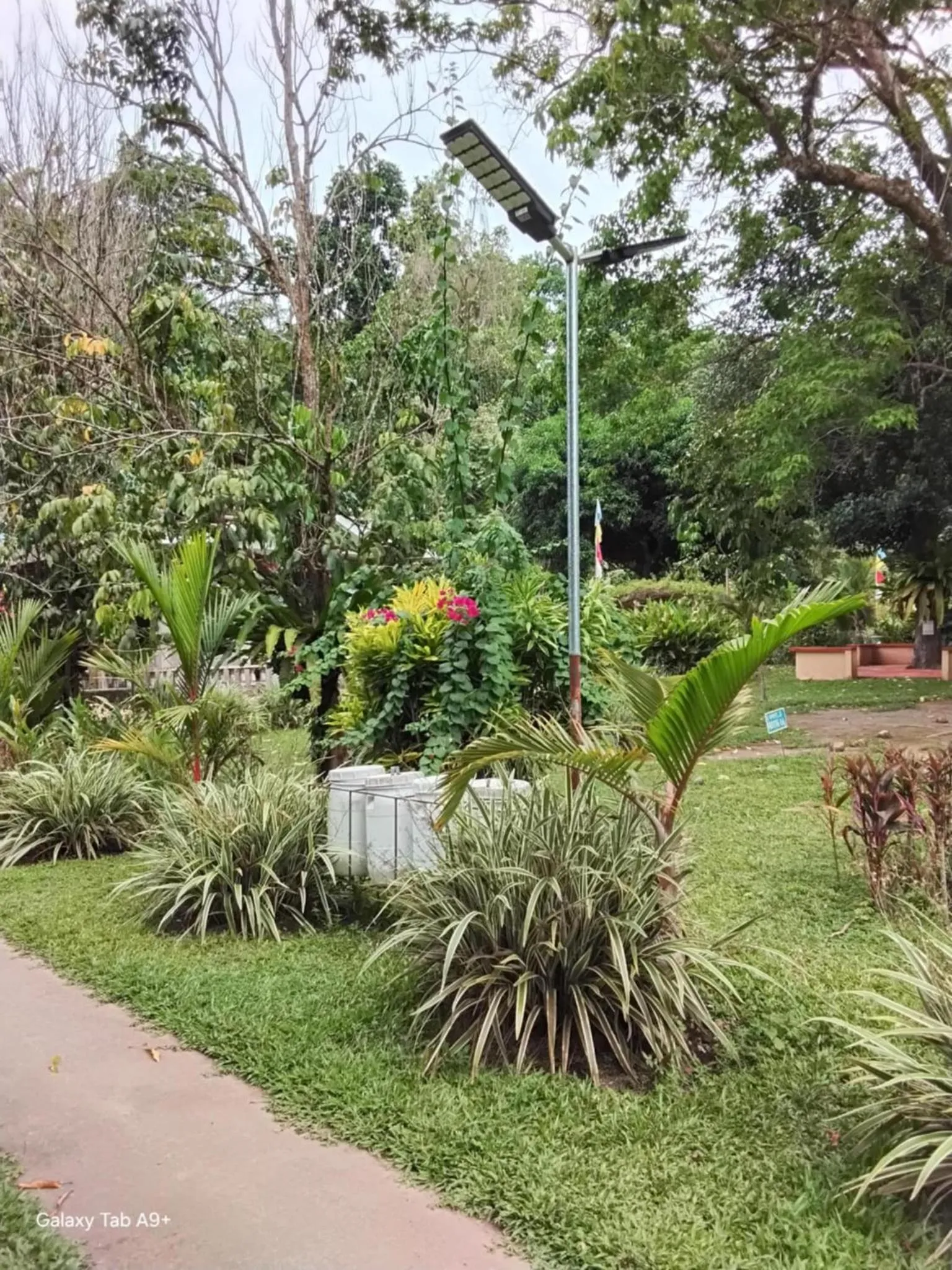 Garden in Camiguin Lanzones Resort