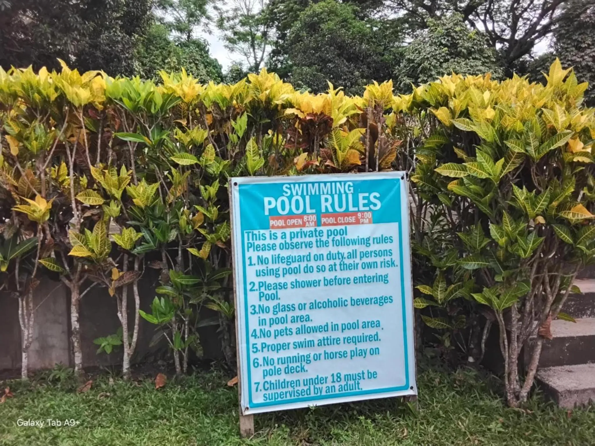 Garden in Camiguin Lanzones Resort