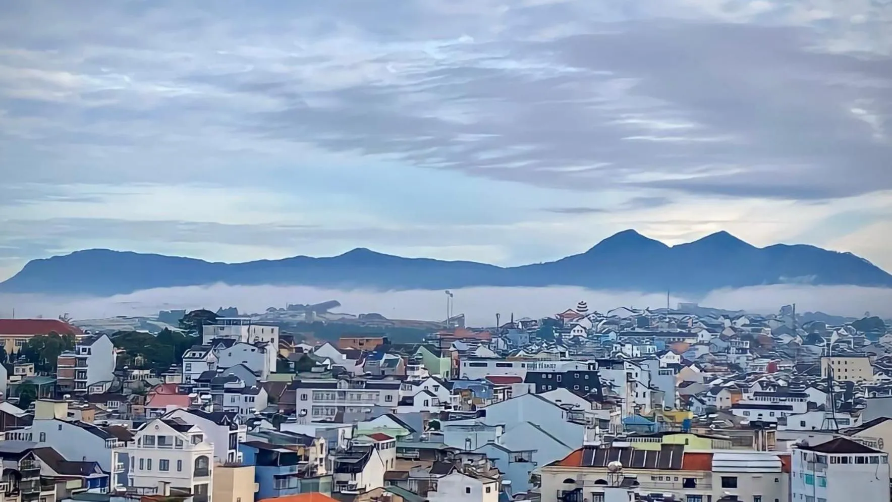 Day in Tường Vy Dalat Central