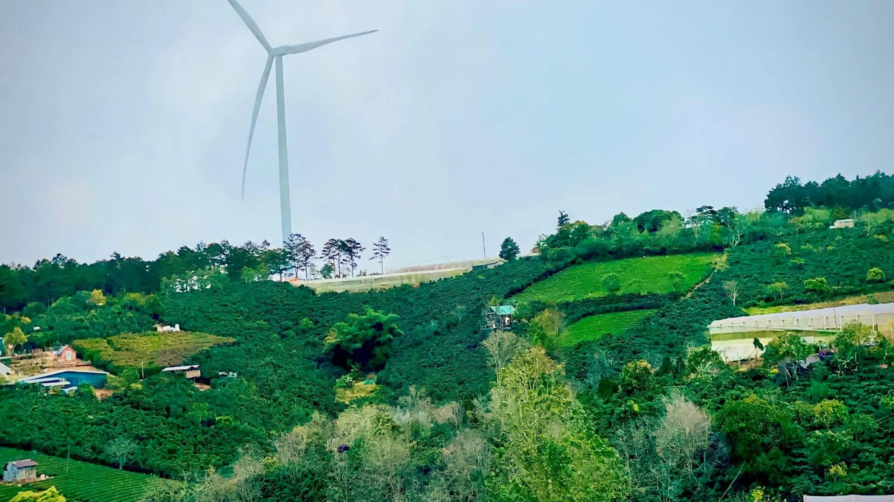 Neighbourhood in Tường Vy Dalat Central