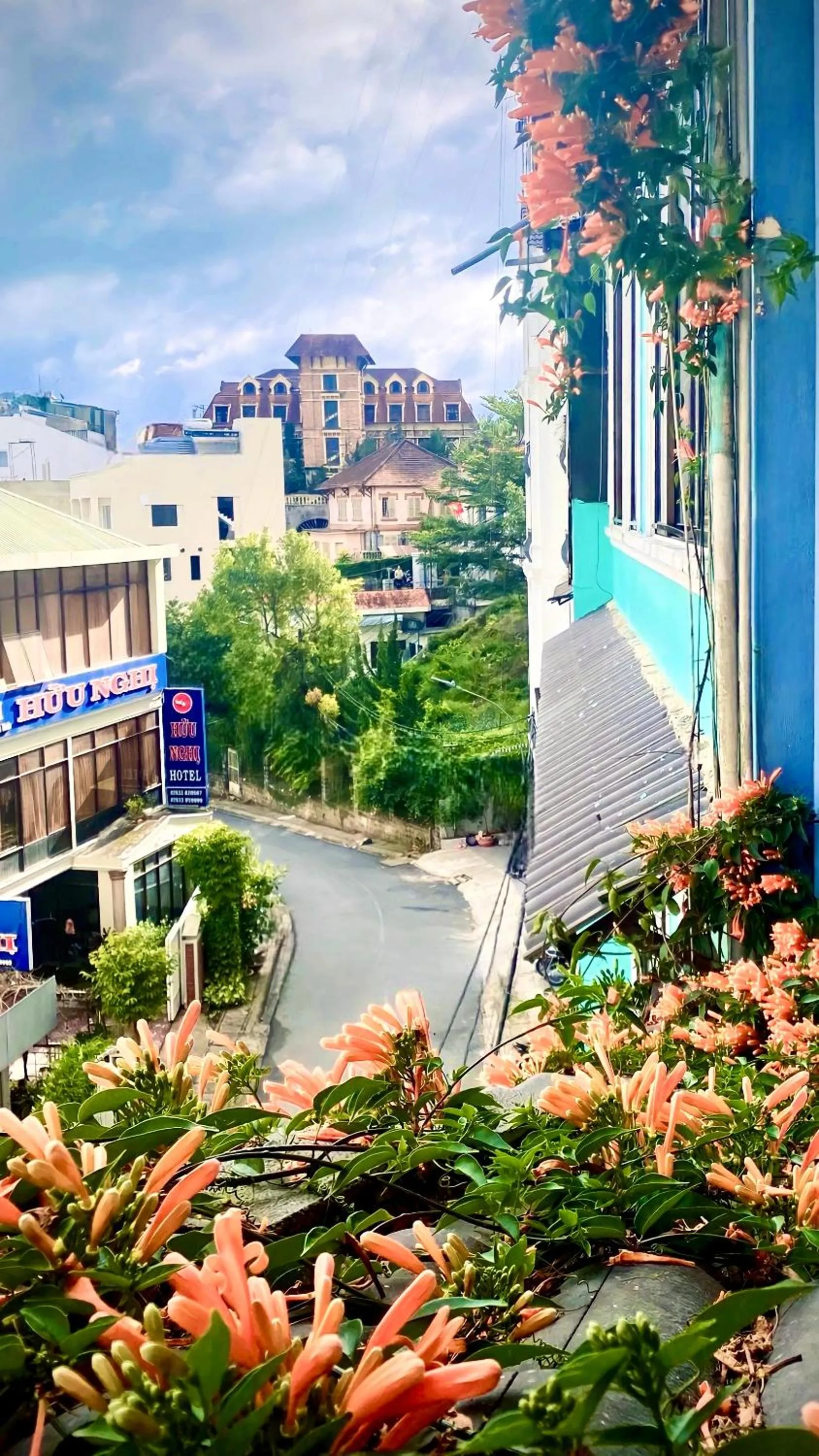 Spring in Tường Vy Dalat Central