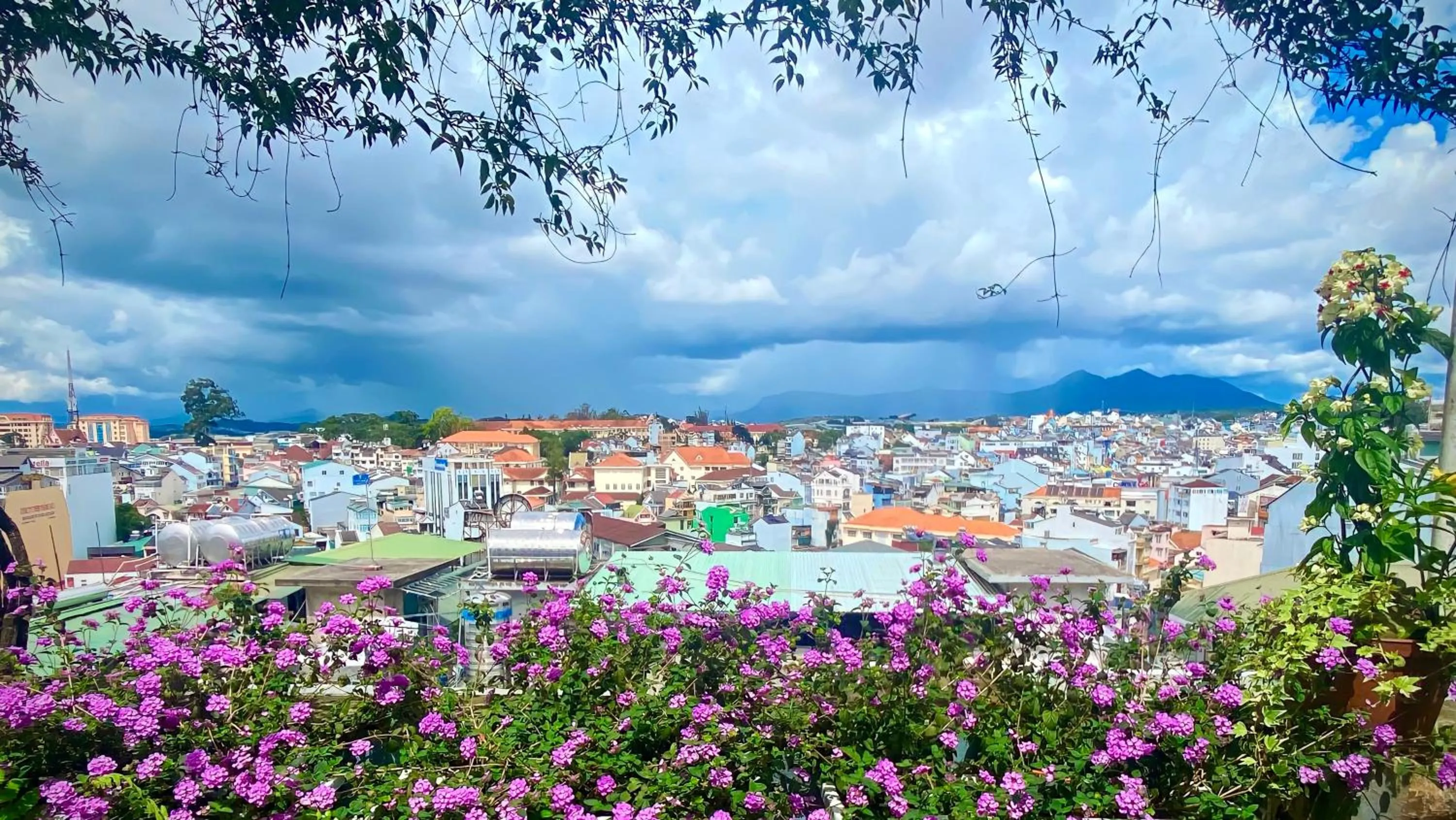 Spring in Tường Vy Dalat Central