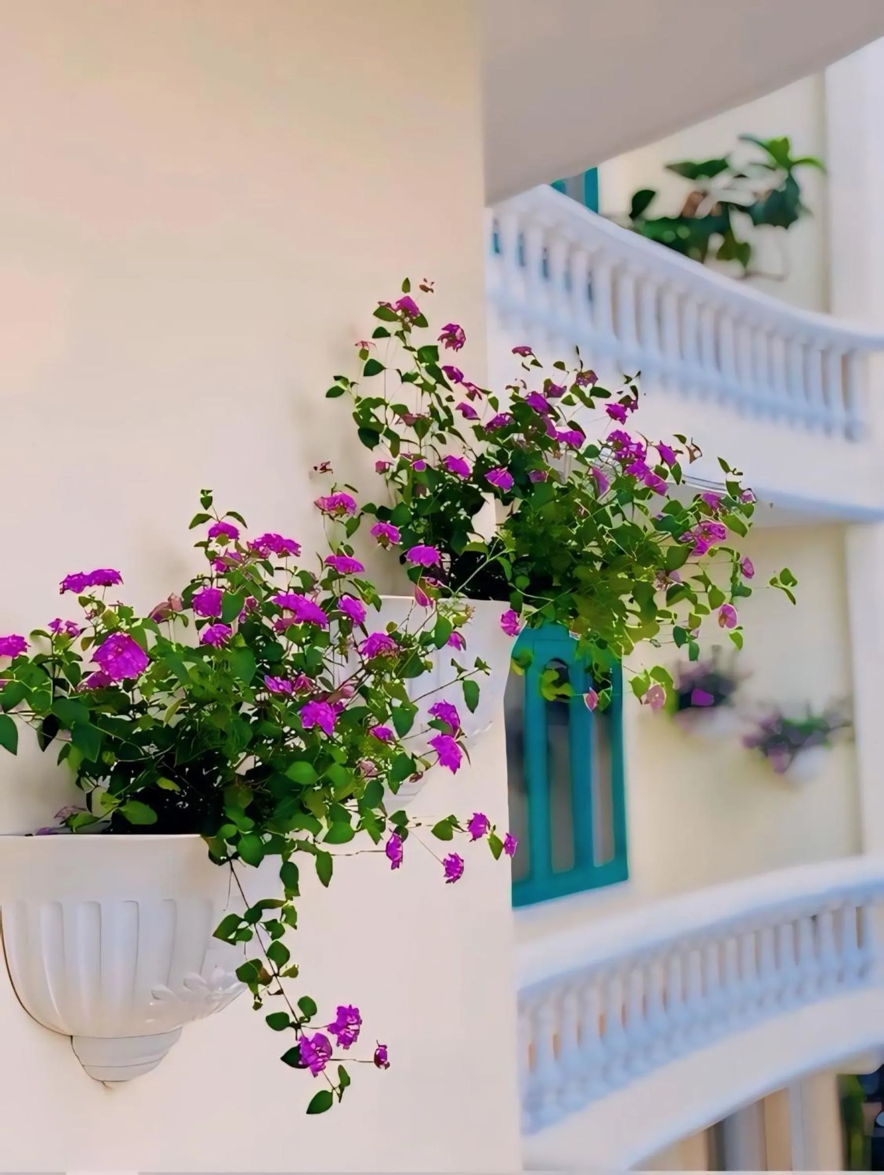 Spring in Tường Vy Dalat Central